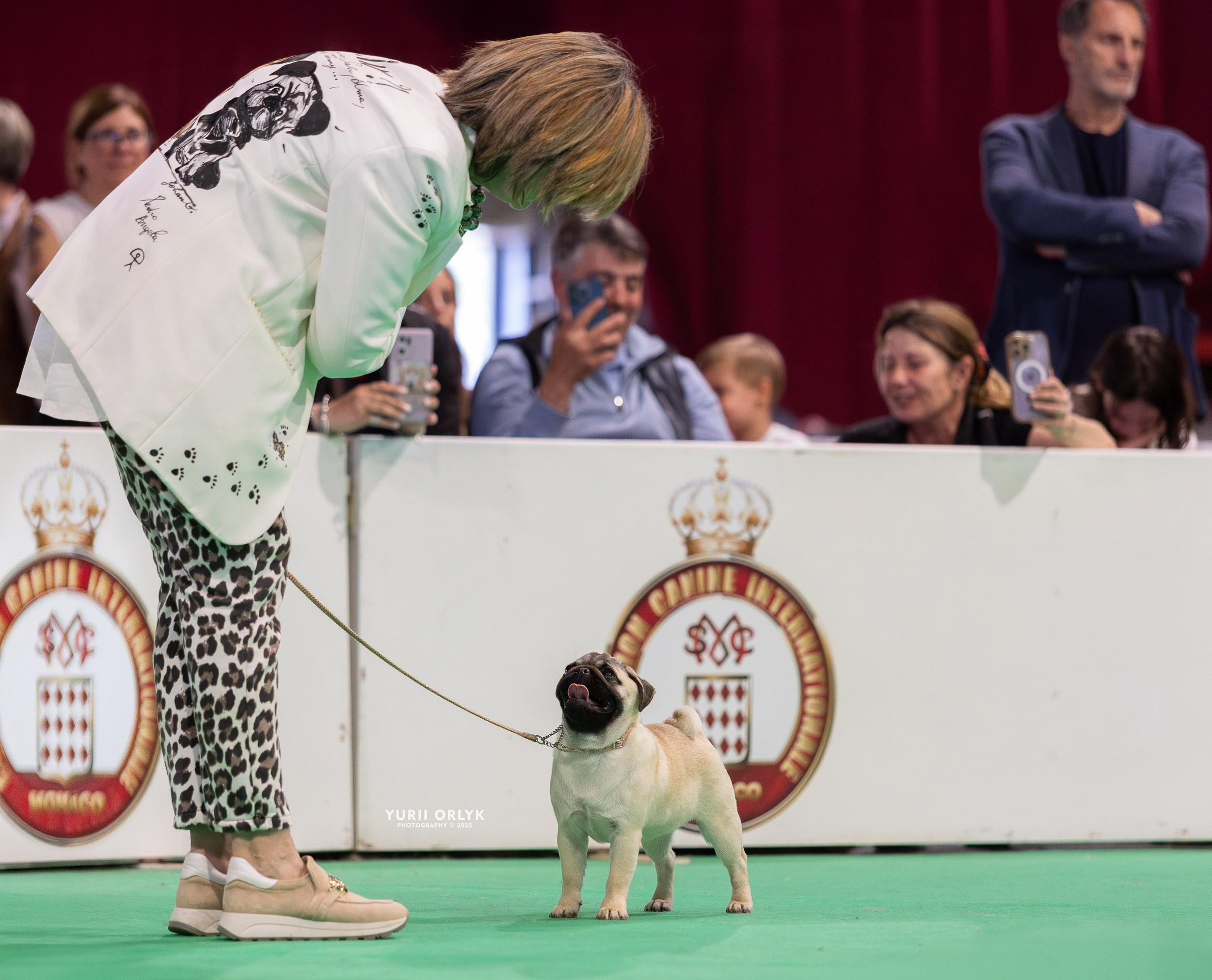 Dog Shows. Yurii Orlyk Photography