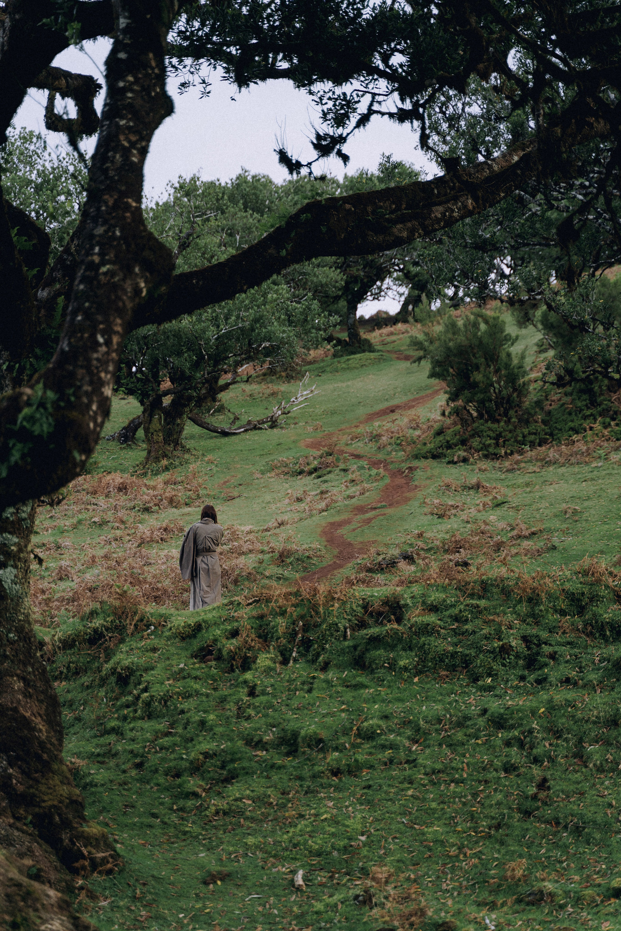 Individual Photoshoot in Fanal Forest — Oksana | Madeira Photography. Your photographer in Madeira