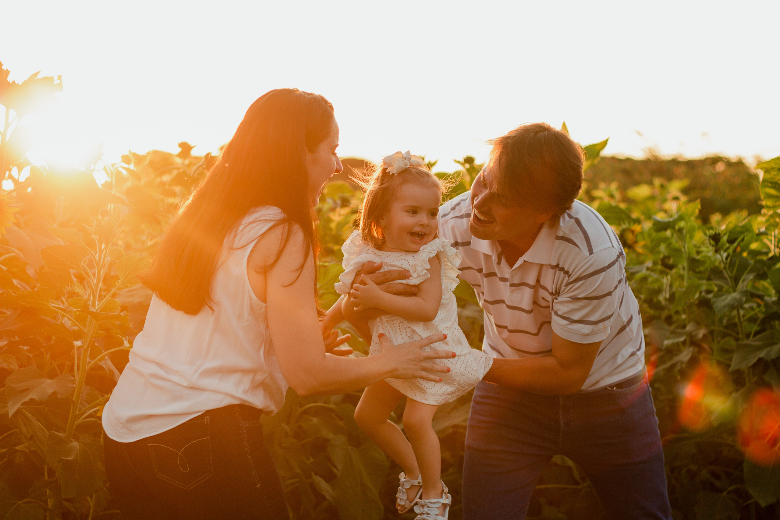 Família reunida no campo de girassóis em Holambra, durante o entardecer, encerrando o ensaio com gestos de carinho.