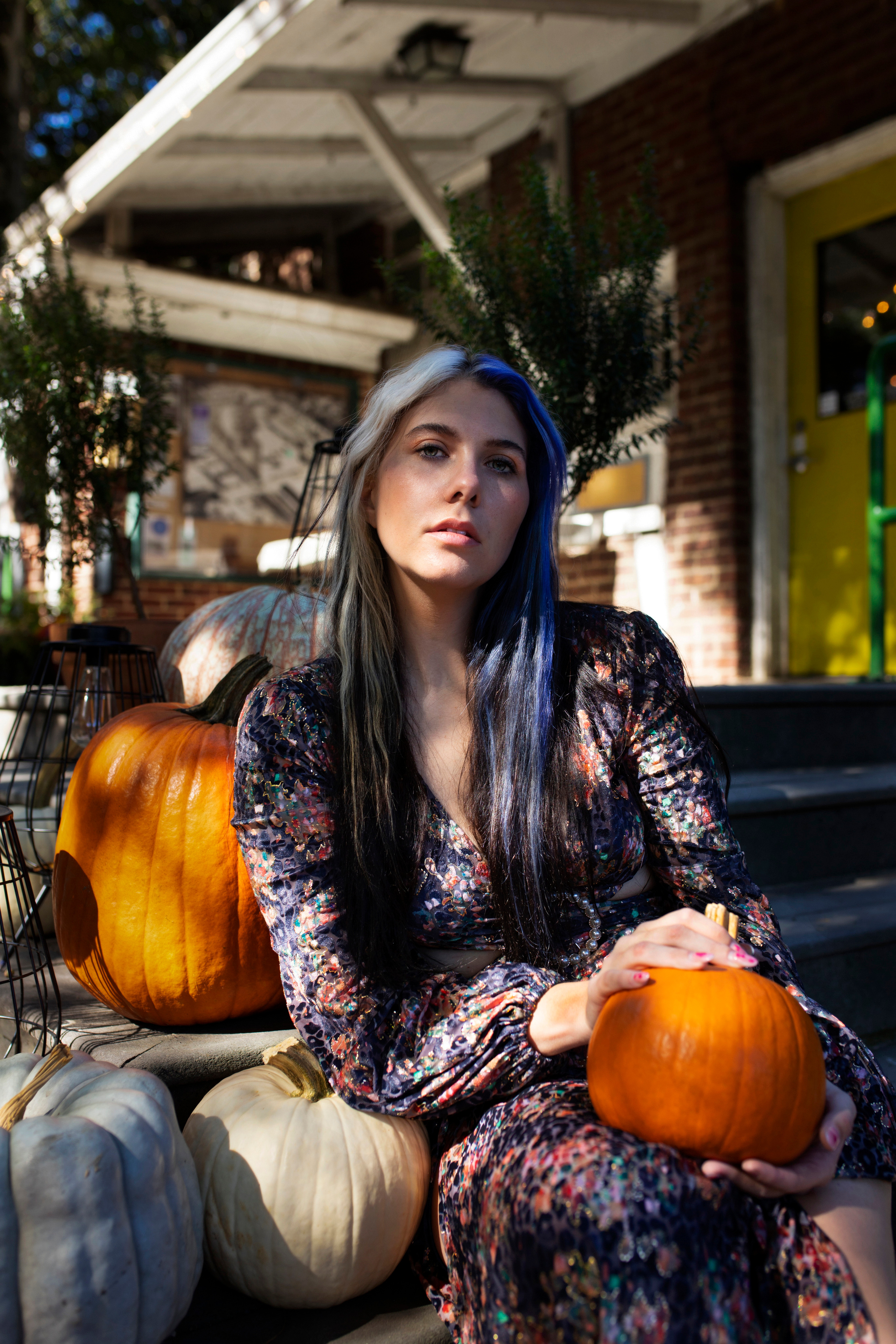 Harley. Oxana Photographer in Charlotte, NC