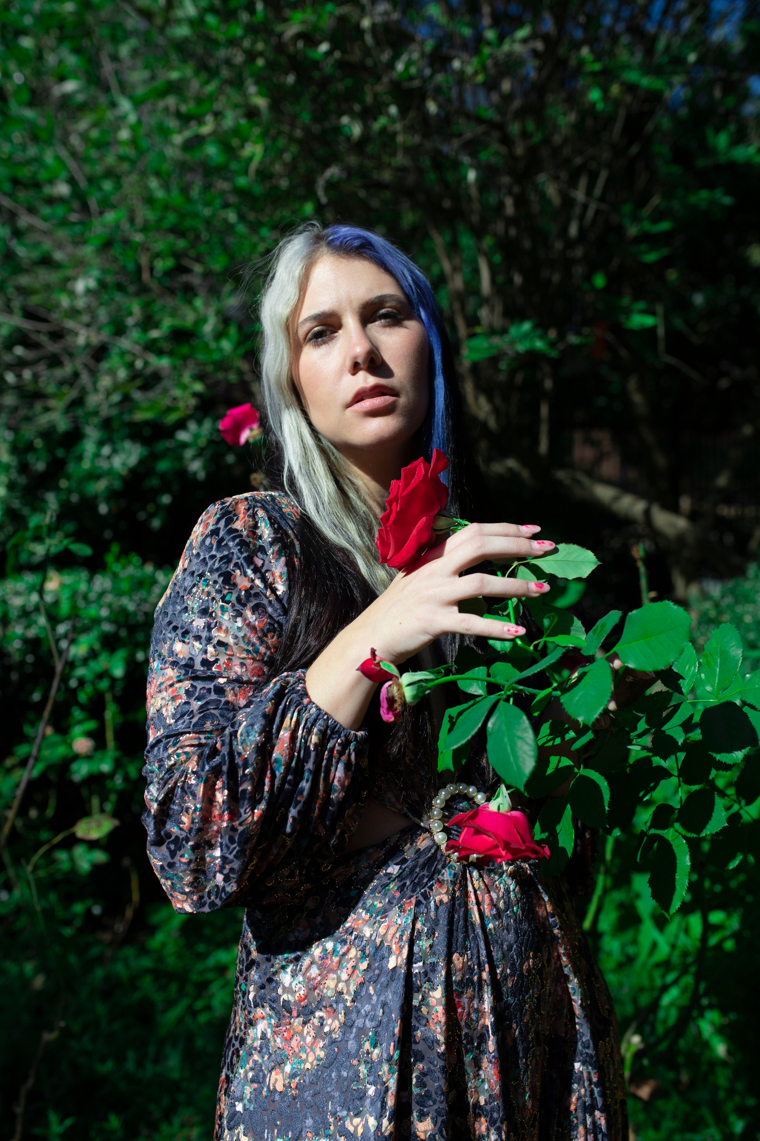 Harley. Oxana Photographer in Charlotte, NC