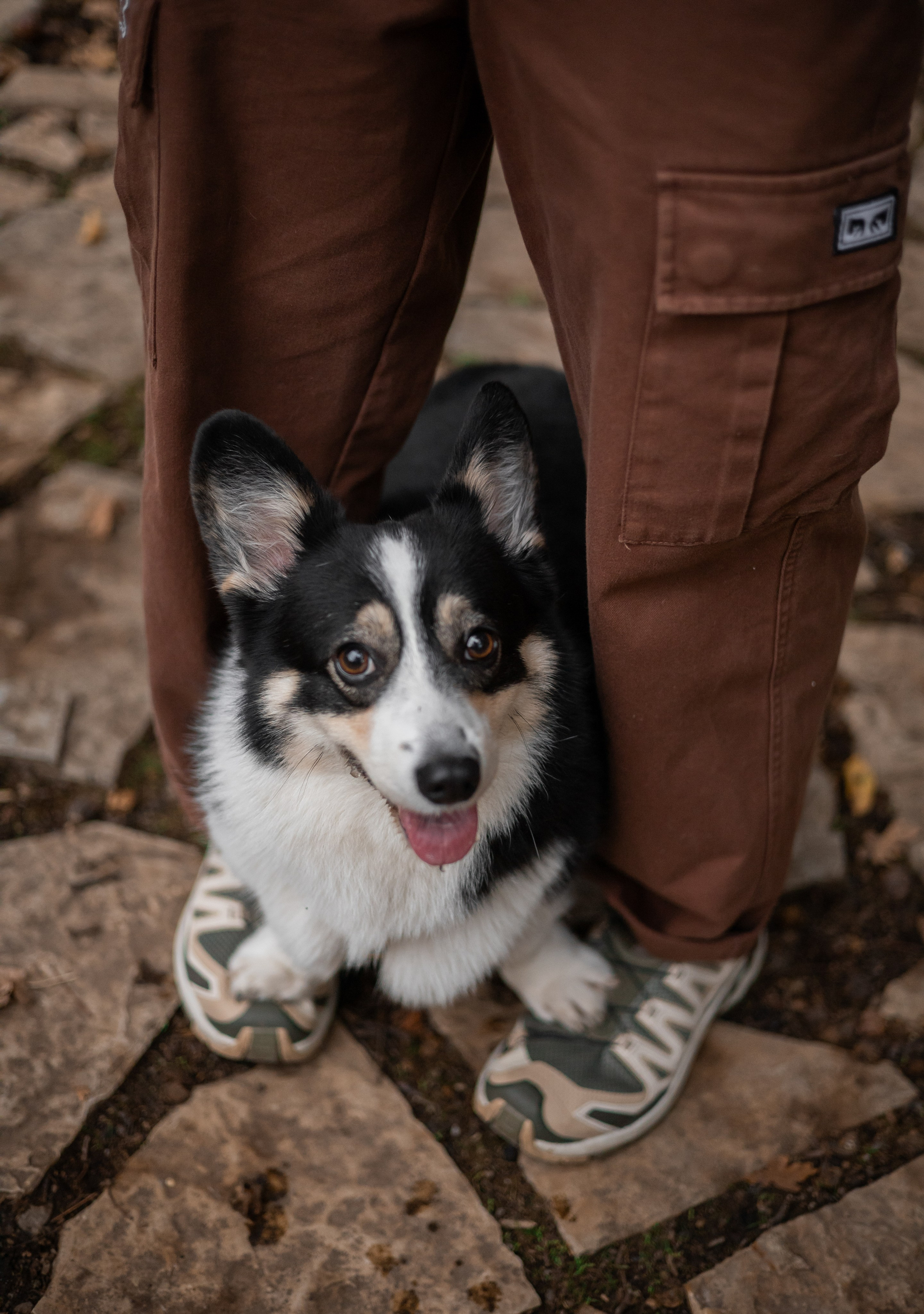 Даня, Аня и Плюша. Фотограф-анималист | Белград