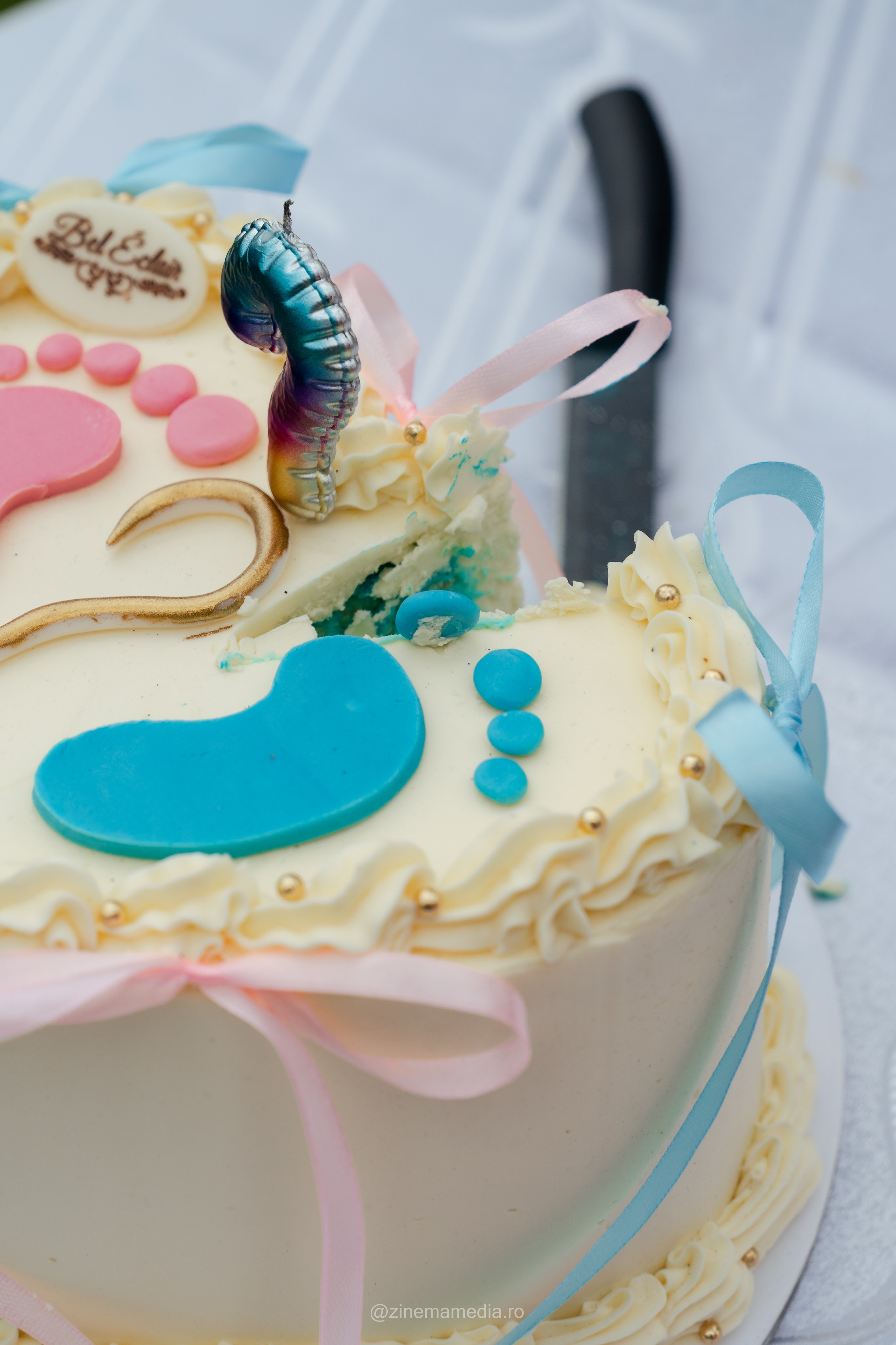 ALINA and IONUT — GENDER REVEAL. Z I N E M A