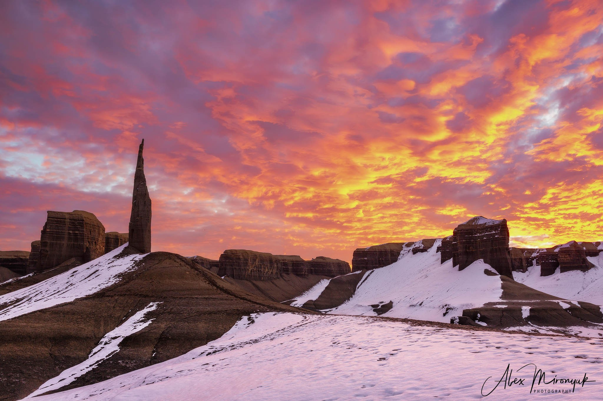 Eagle’s View: The American Southwest. Pet, Senior, Landscape, portrait studio, photographer in Miami and Sou
