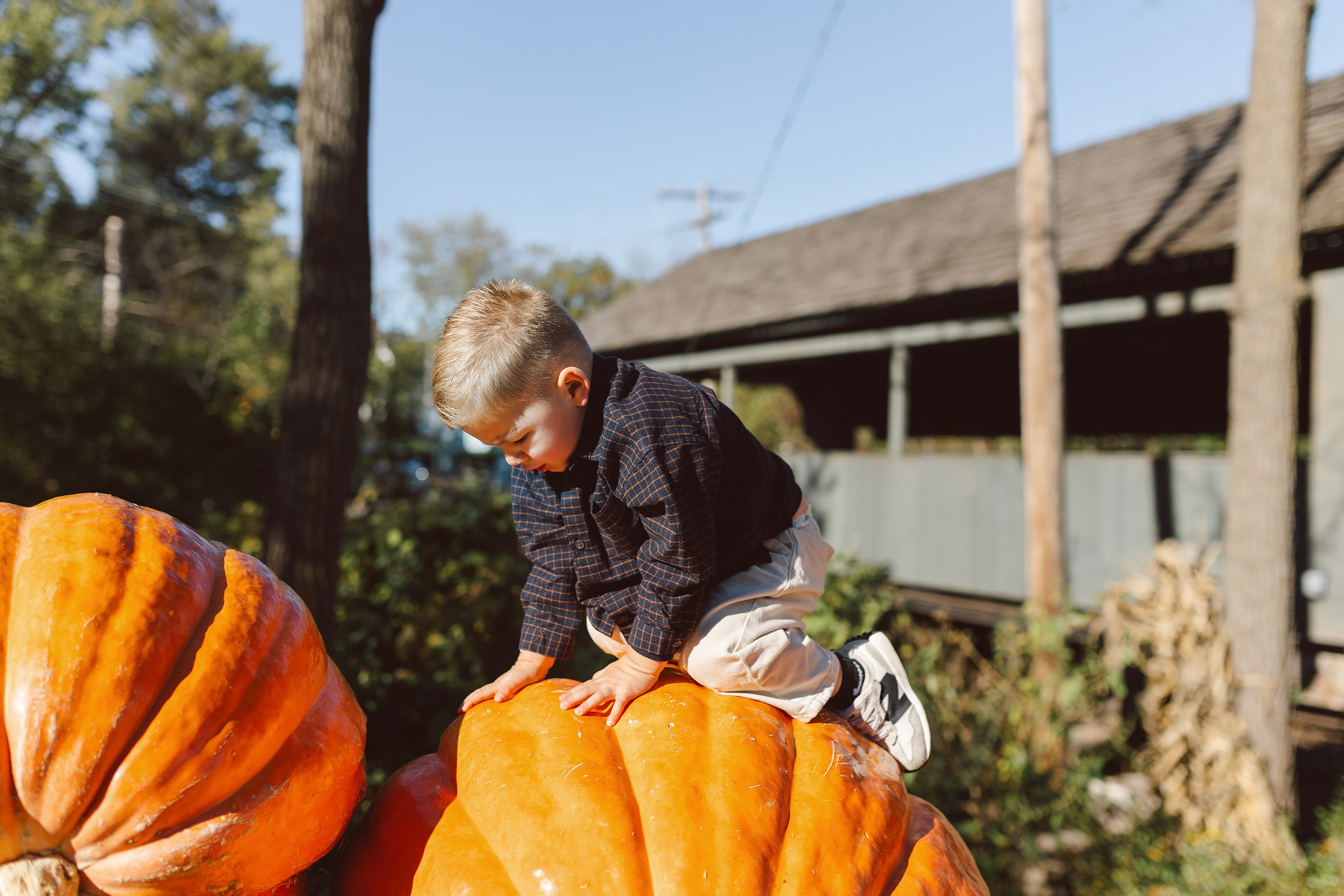 10.18.26 Family Photoshoot. Wedding family event photographer in Chicago Nick Yushevich
