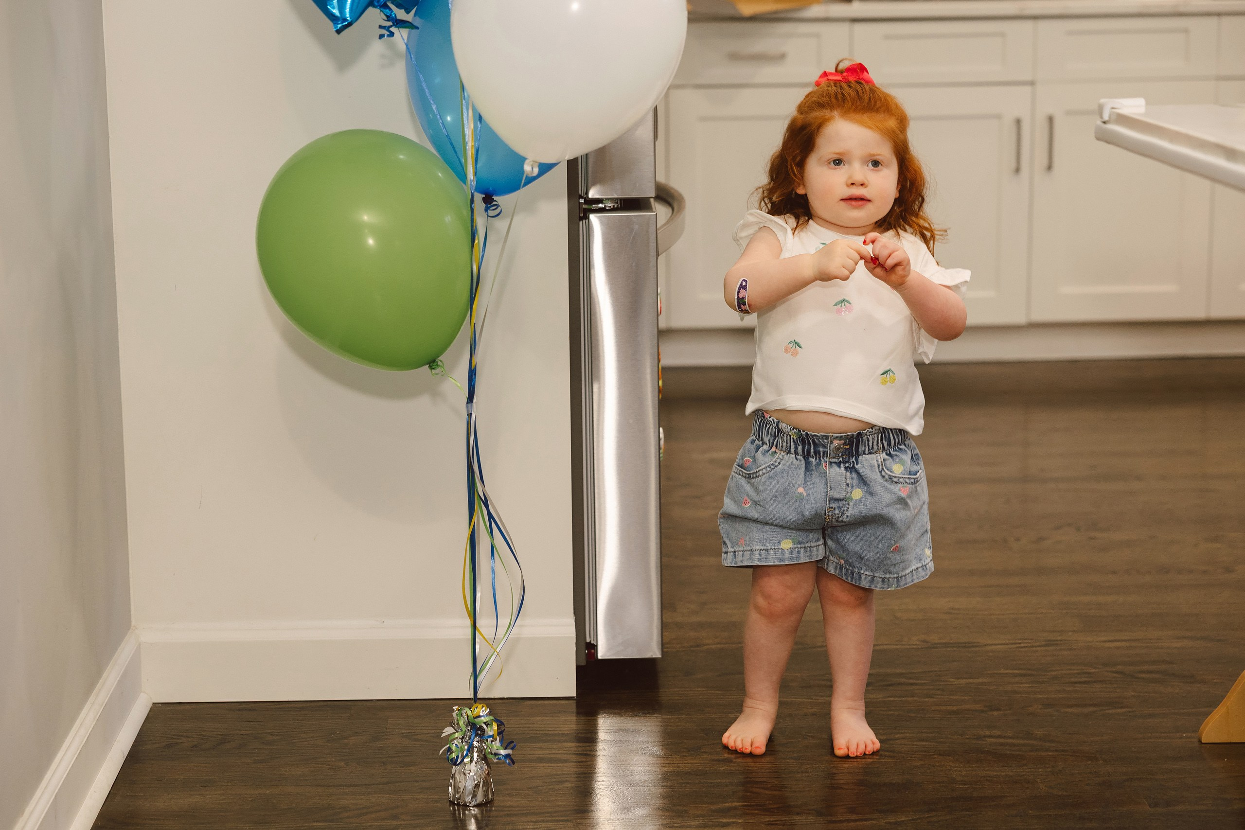 08.01.2026 First birthday. Wedding family event photographer in Chicago Nick Yushevich