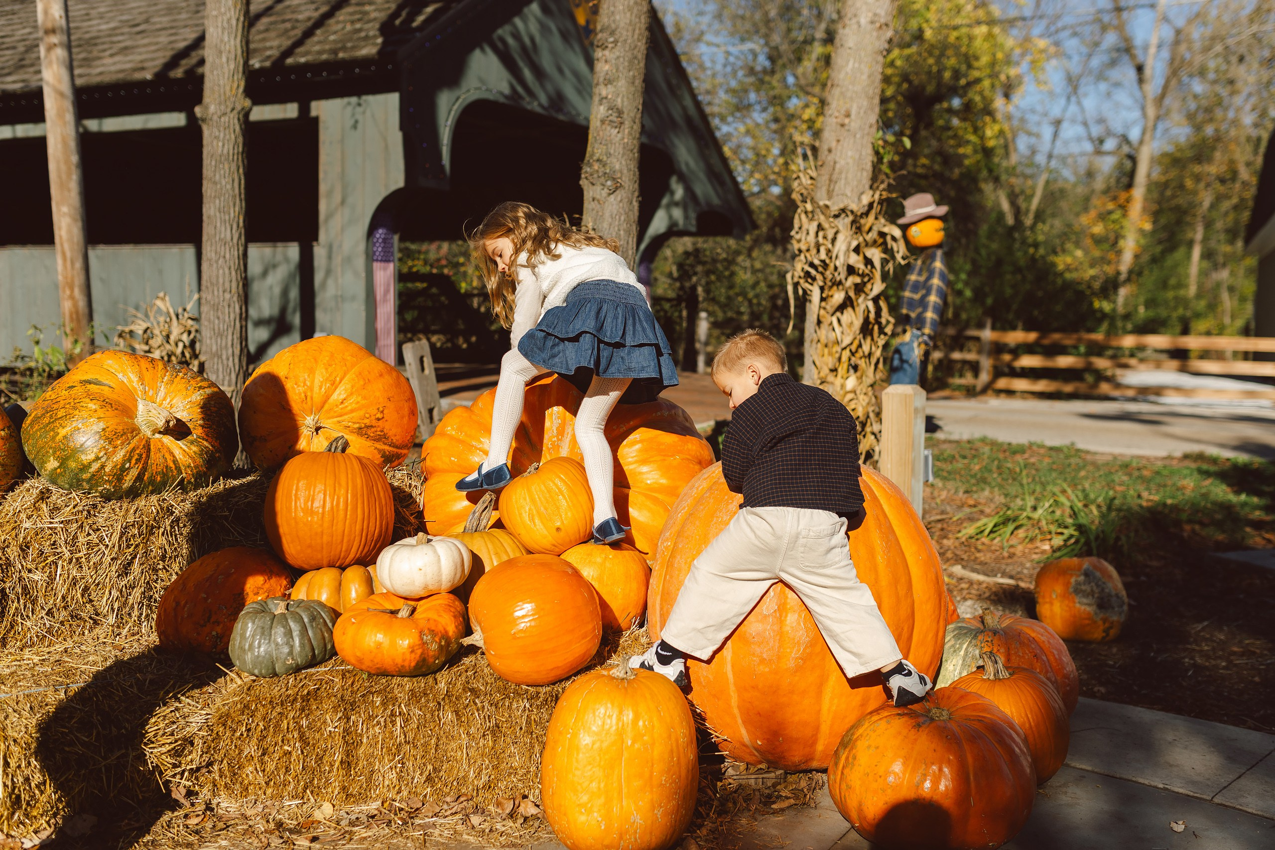 10.18.26 Family Photoshoot. Wedding family event photographer in Chicago Nick Yushevich