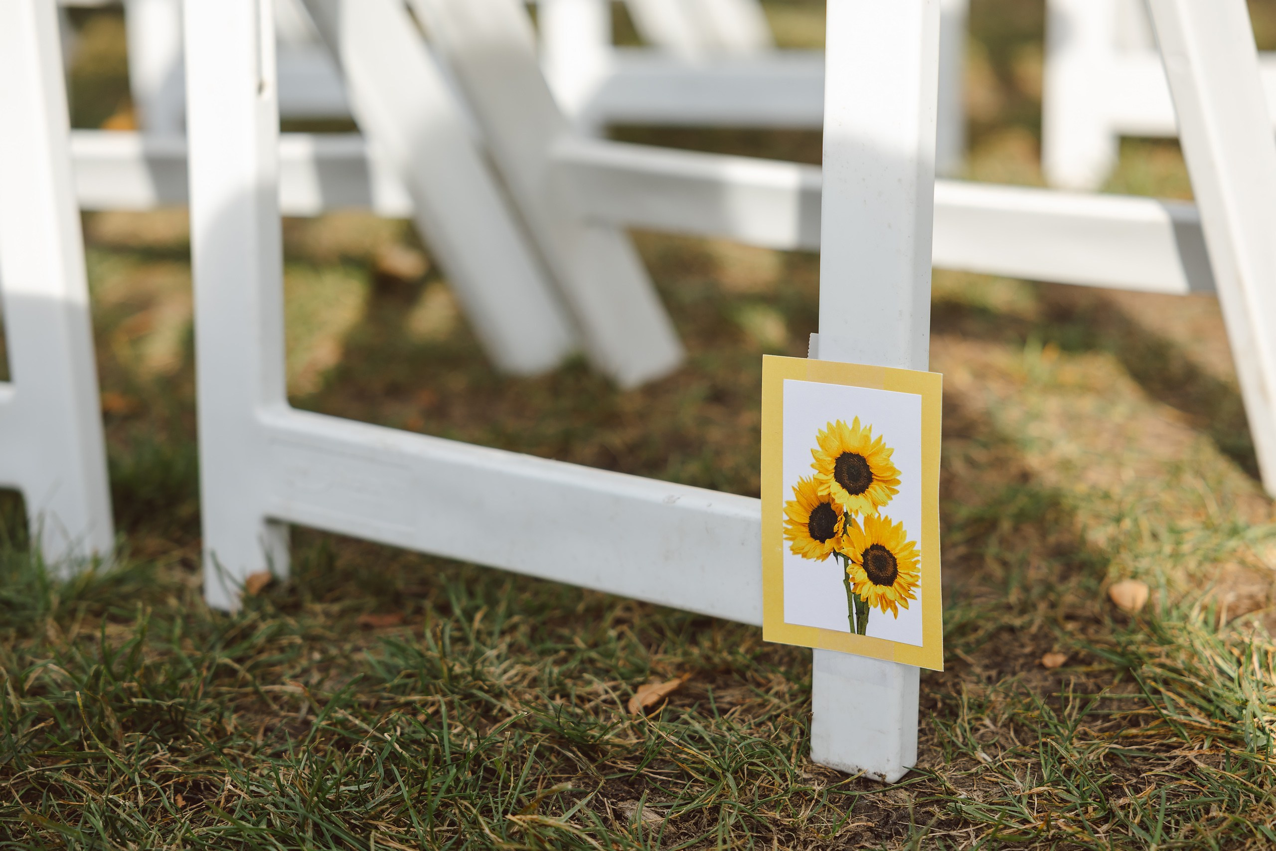 10.10.2026 Wedding. Wedding family event photographer in Chicago Nick Yushevich