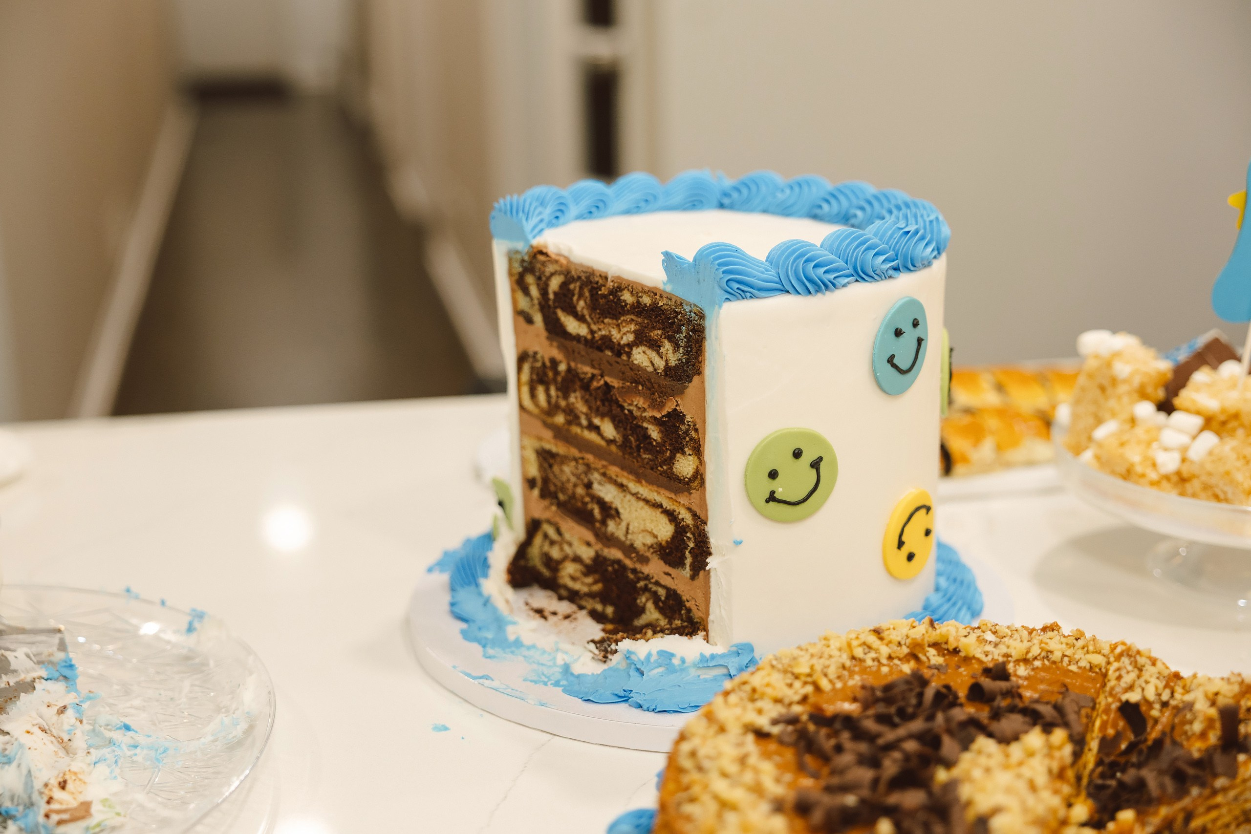 08.01.2026 First birthday. Wedding family event photographer in Chicago Nick Yushevich