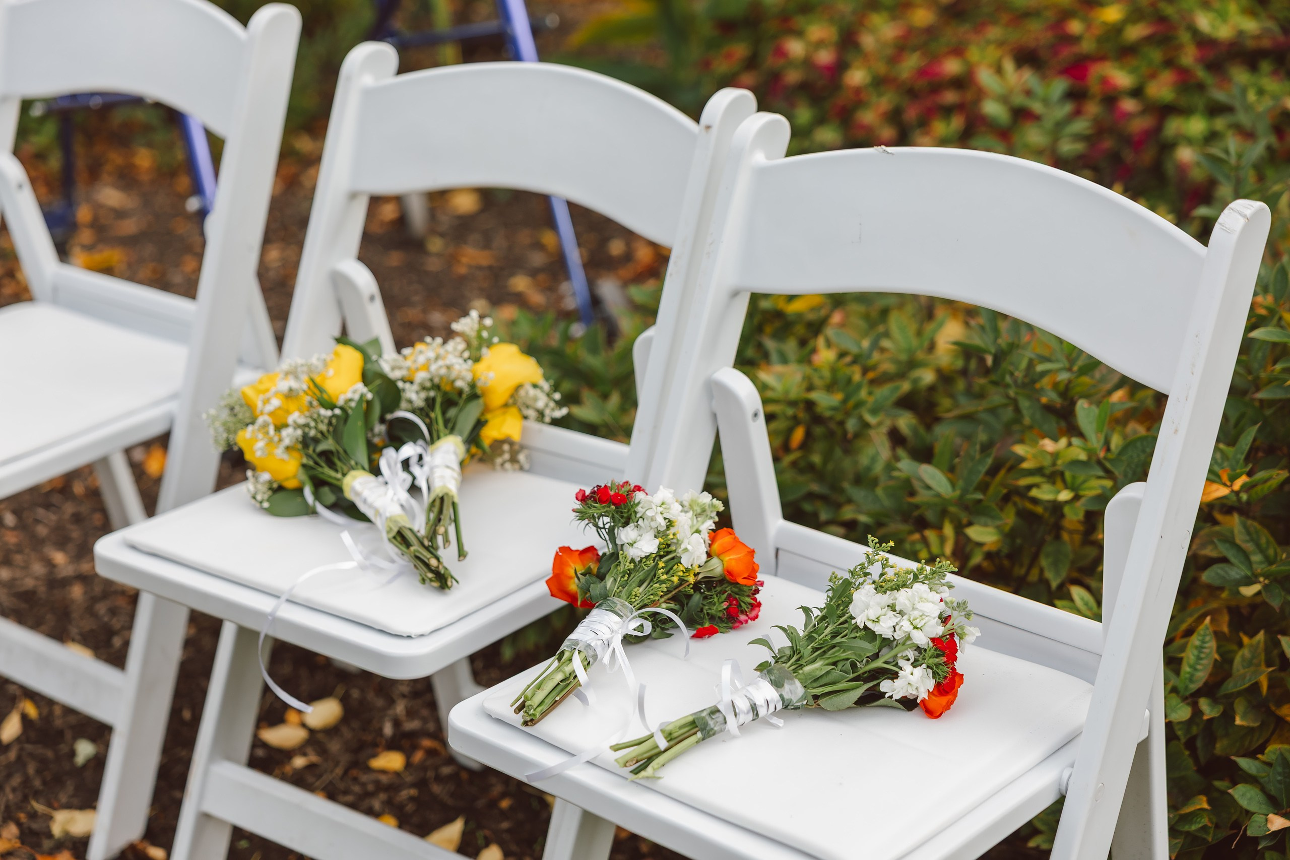10.10.2026 Wedding. Wedding family event photographer in Chicago Nick Yushevich