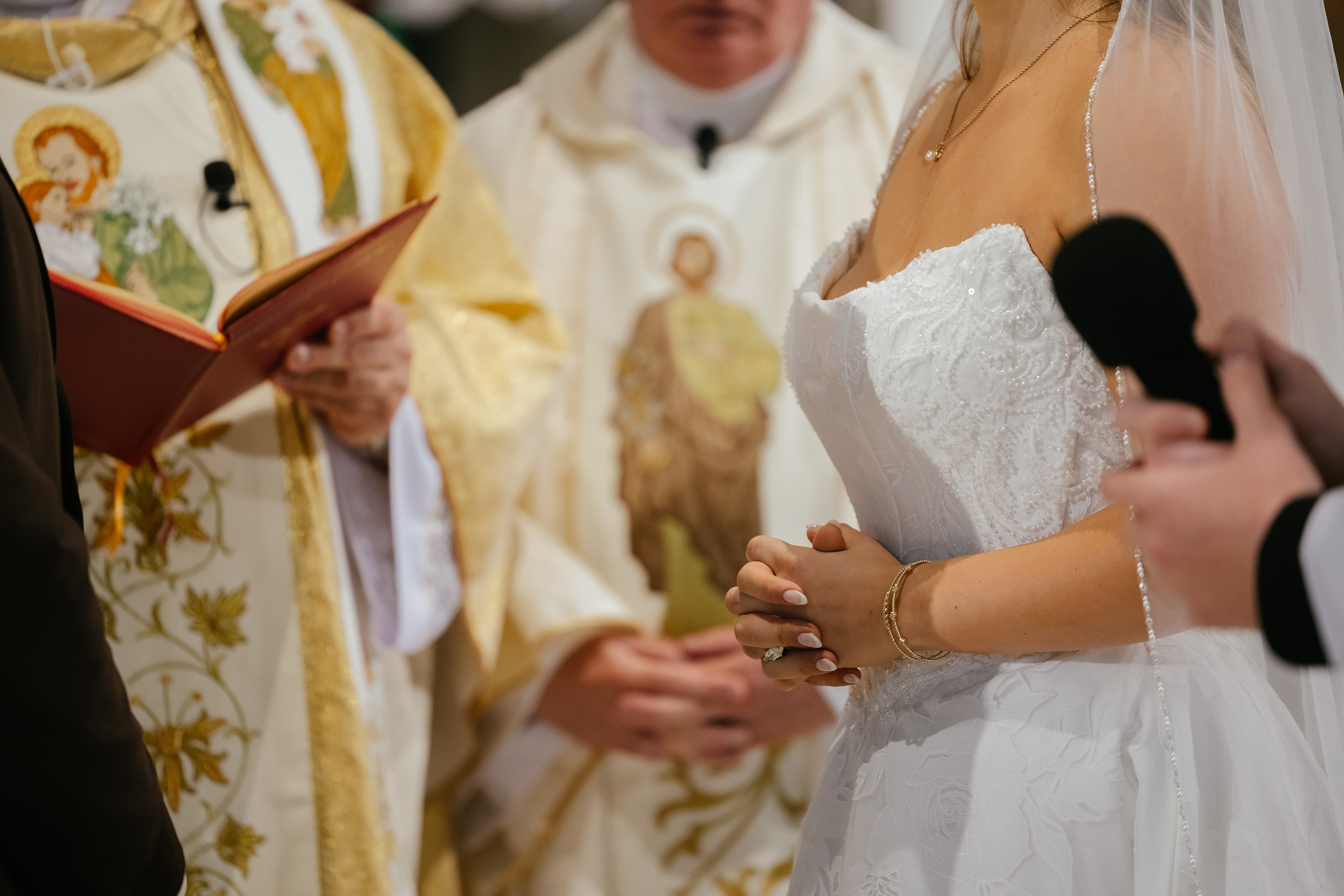09.19.2026 Wedding. Wedding family event photographer in Chicago Nick Yushevich
