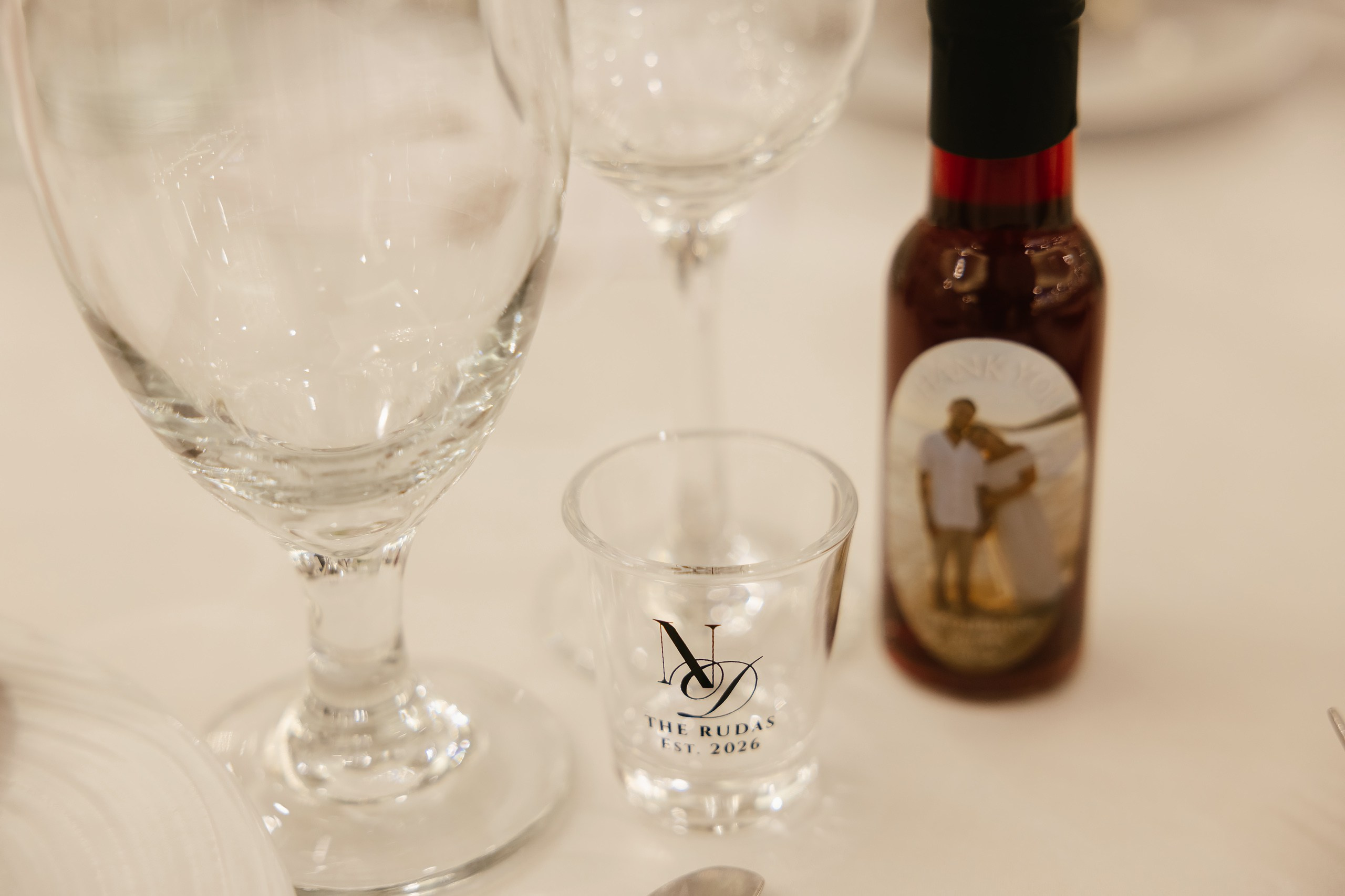 09.19.2026 Wedding. Wedding family event photographer in Chicago Nick Yushevich