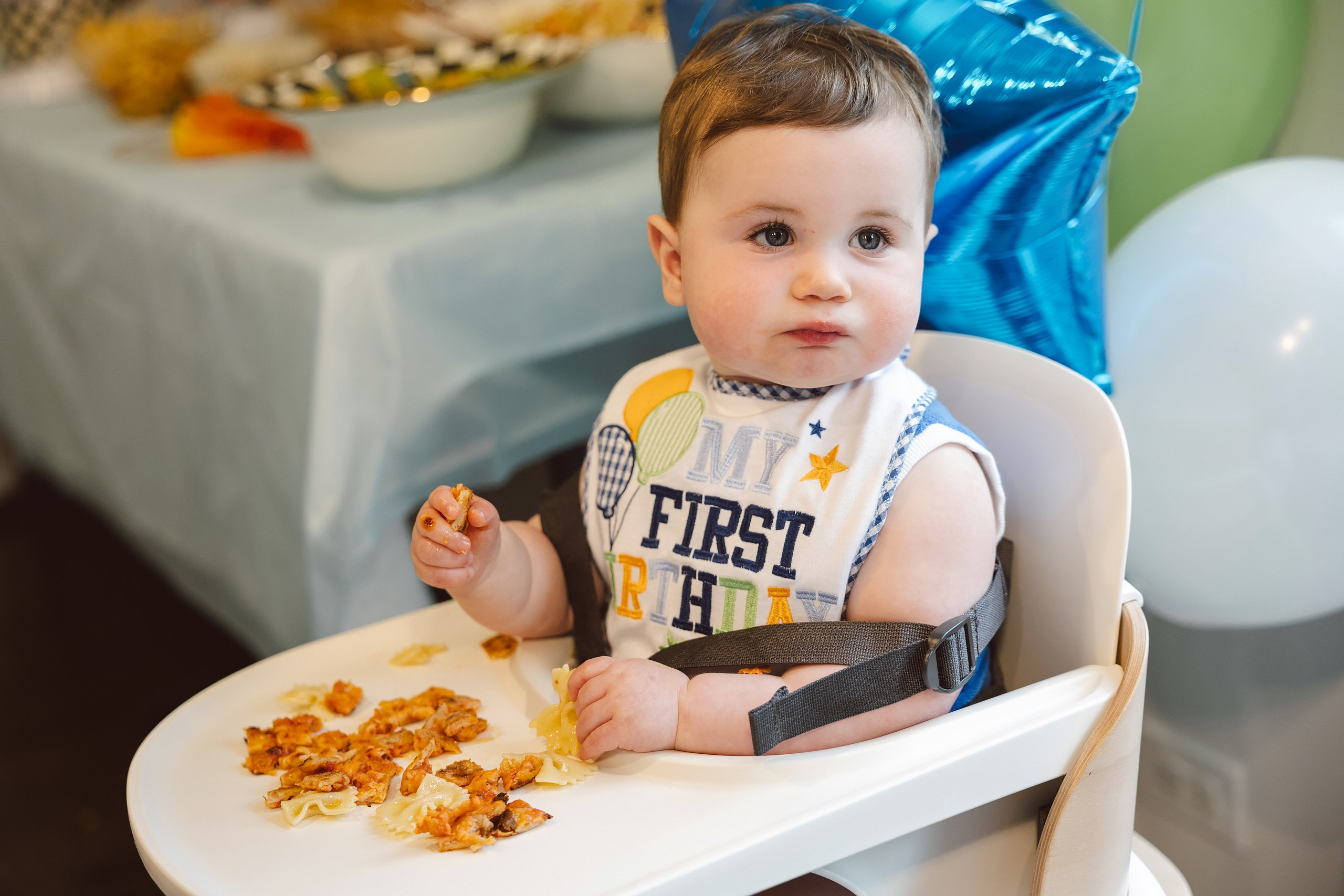 08.01.2026 First birthday. Wedding family event photographer in Chicago Nick Yushevich