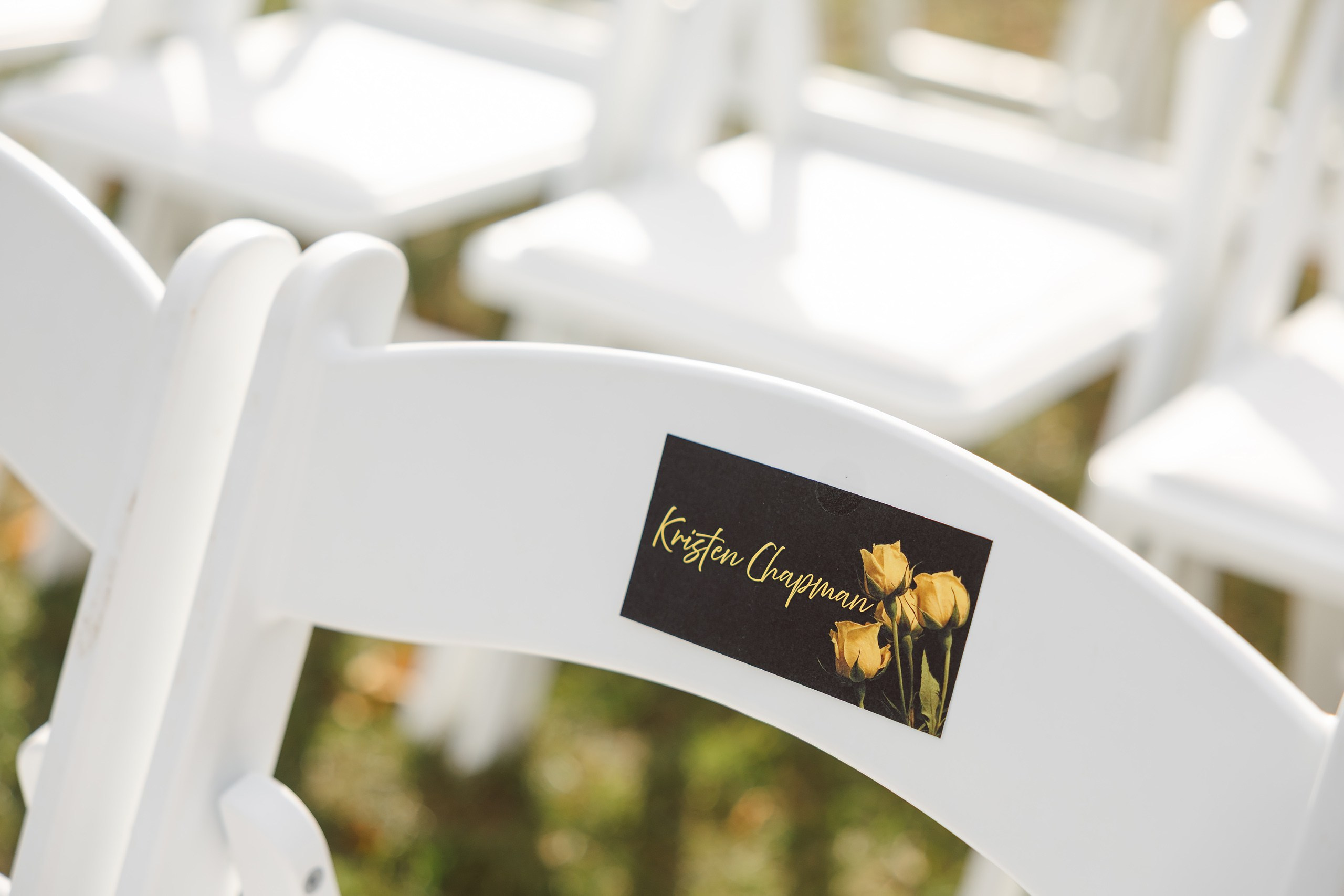 10.10.2026 Wedding. Wedding family event photographer in Chicago Nick Yushevich