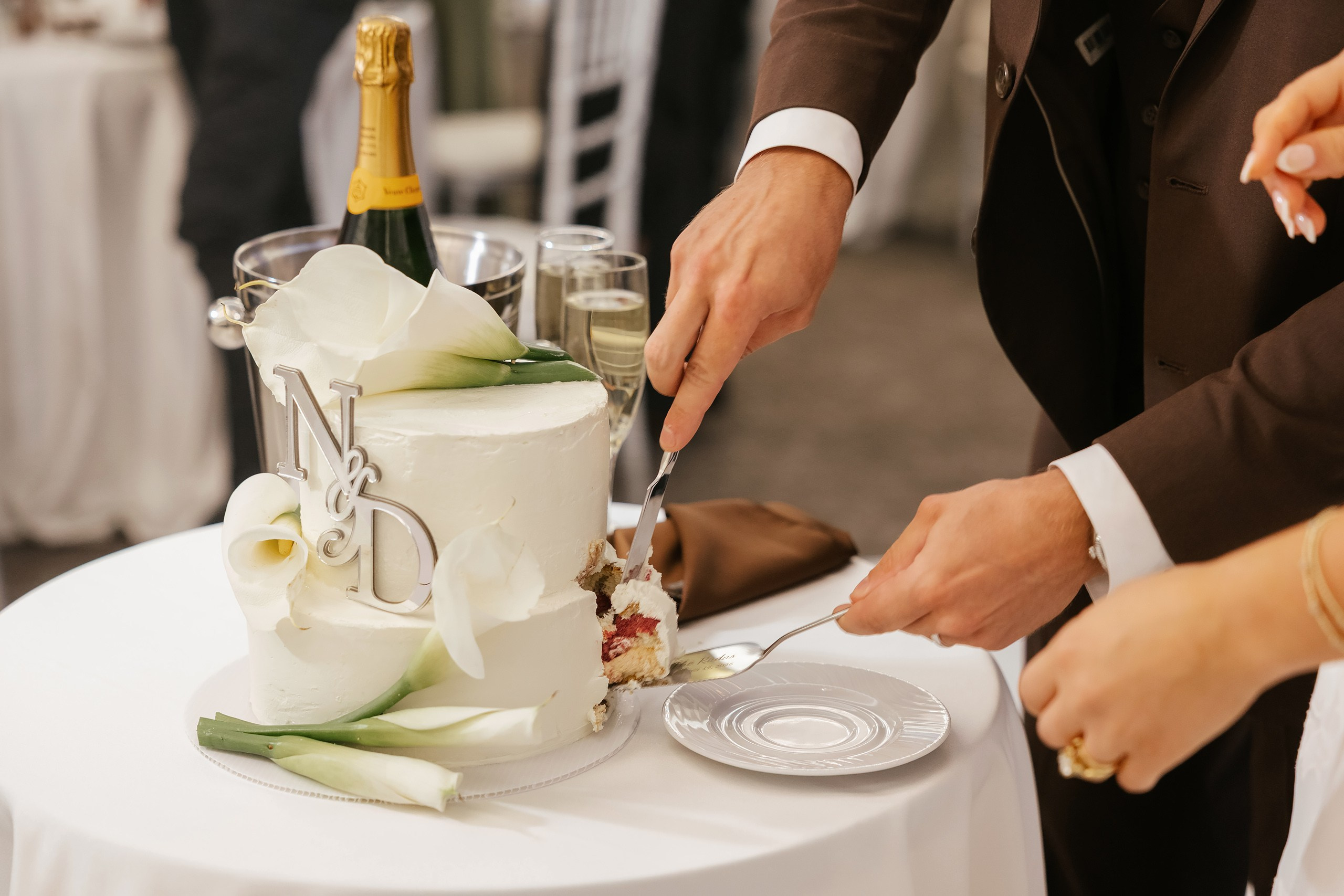 09.19.2026 Wedding. Wedding family event photographer in Chicago Nick Yushevich