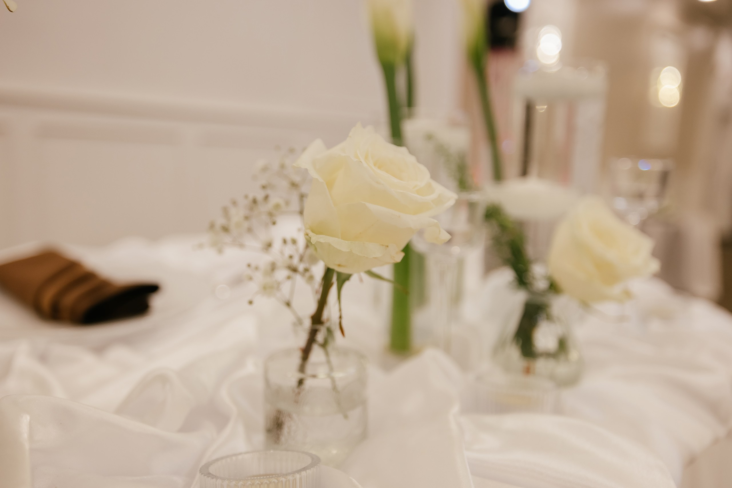 09.19.2026 Wedding. Wedding family event photographer in Chicago Nick Yushevich