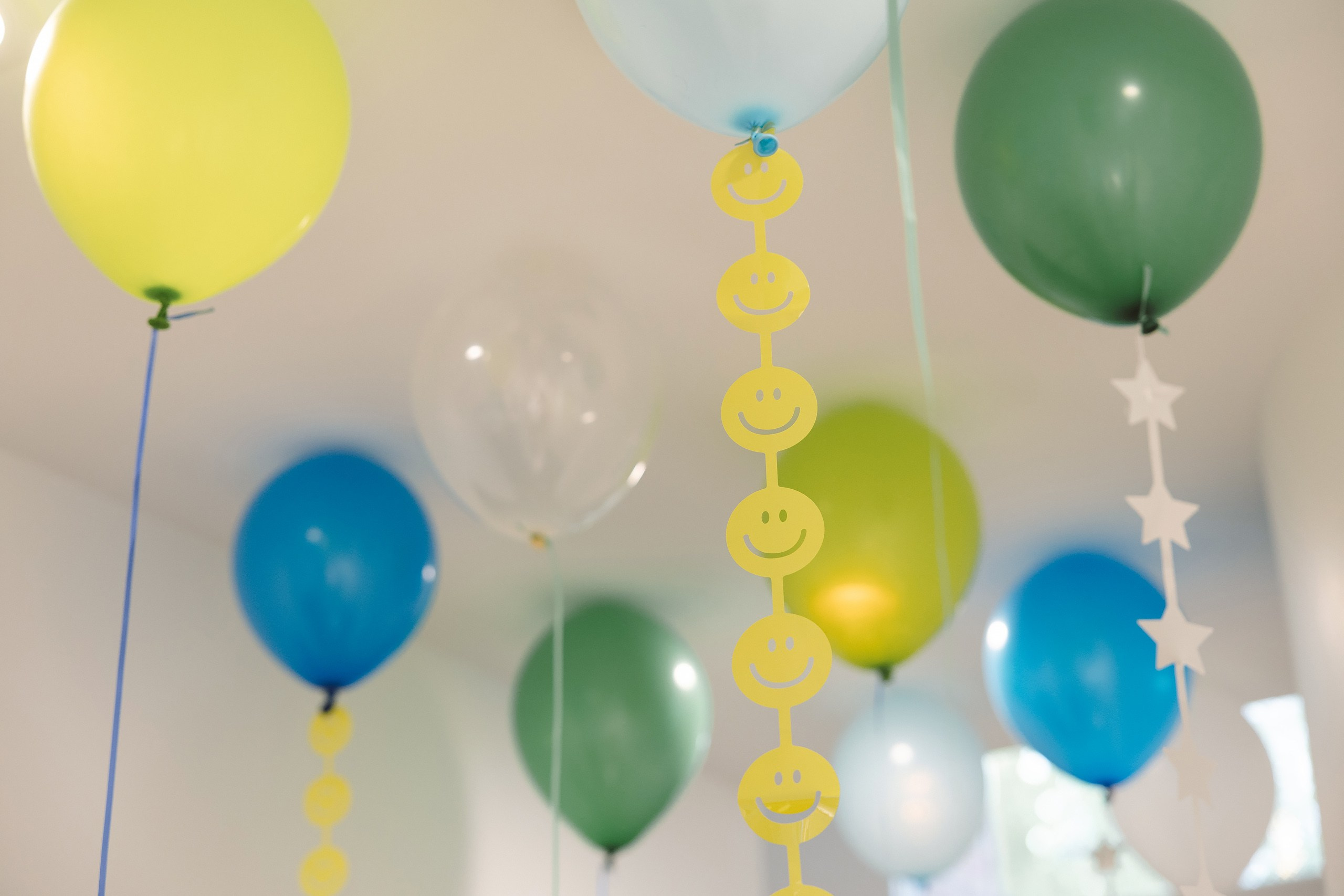 08.01.2026 First birthday. Wedding family event photographer in Chicago Nick Yushevich