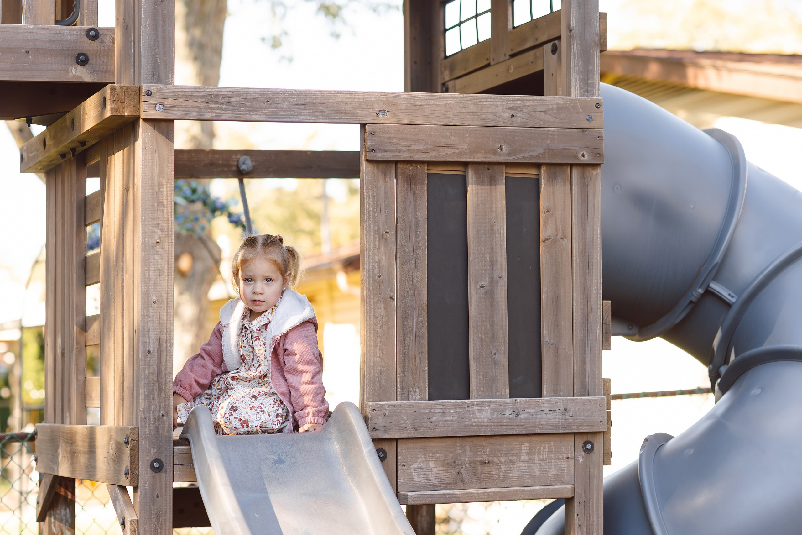 10.19.26 Photoshoot. Wedding family event photographer in Chicago Nick Yushevich