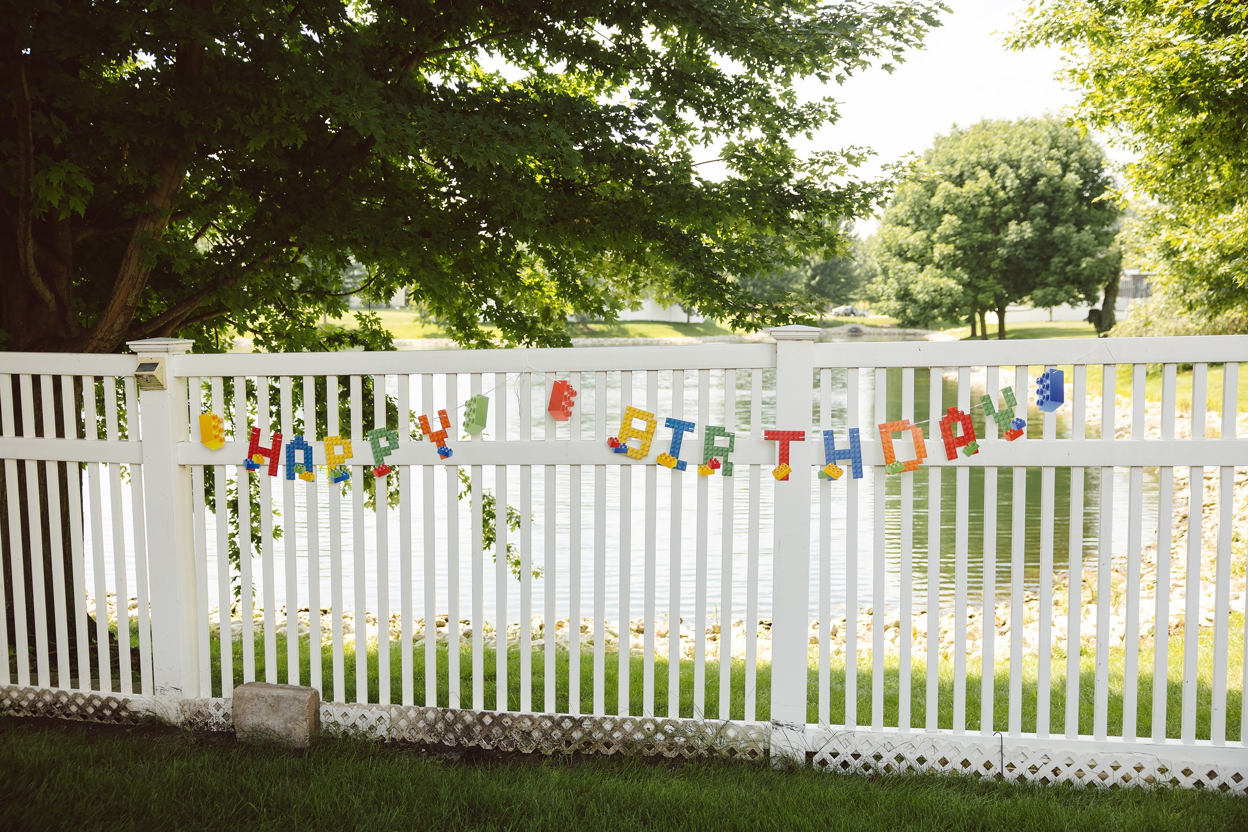 Birthday Party. Wedding family event photographer in Chicago Nick Yushevich