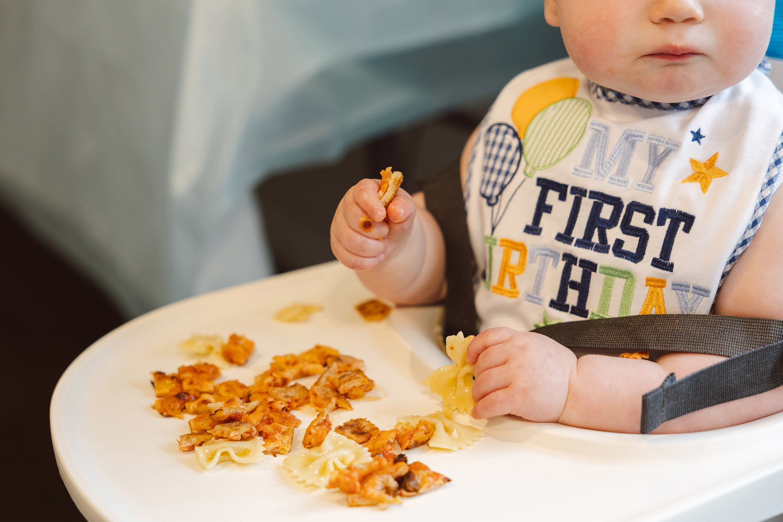08.01.2026 First birthday. Wedding family event photographer in Chicago Nick Yushevich