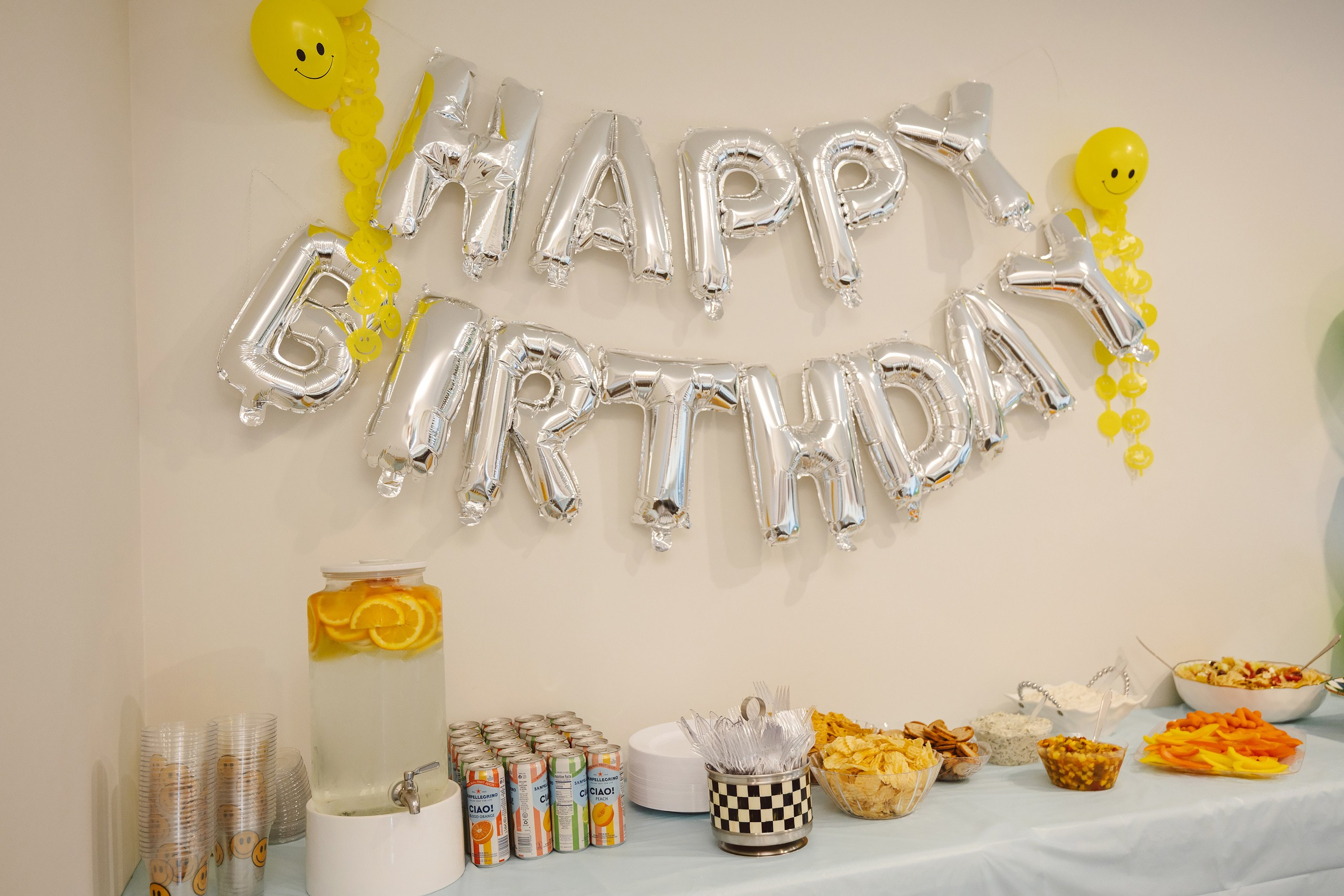 08.01.2026 First birthday. Wedding family event photographer in Chicago Nick Yushevich