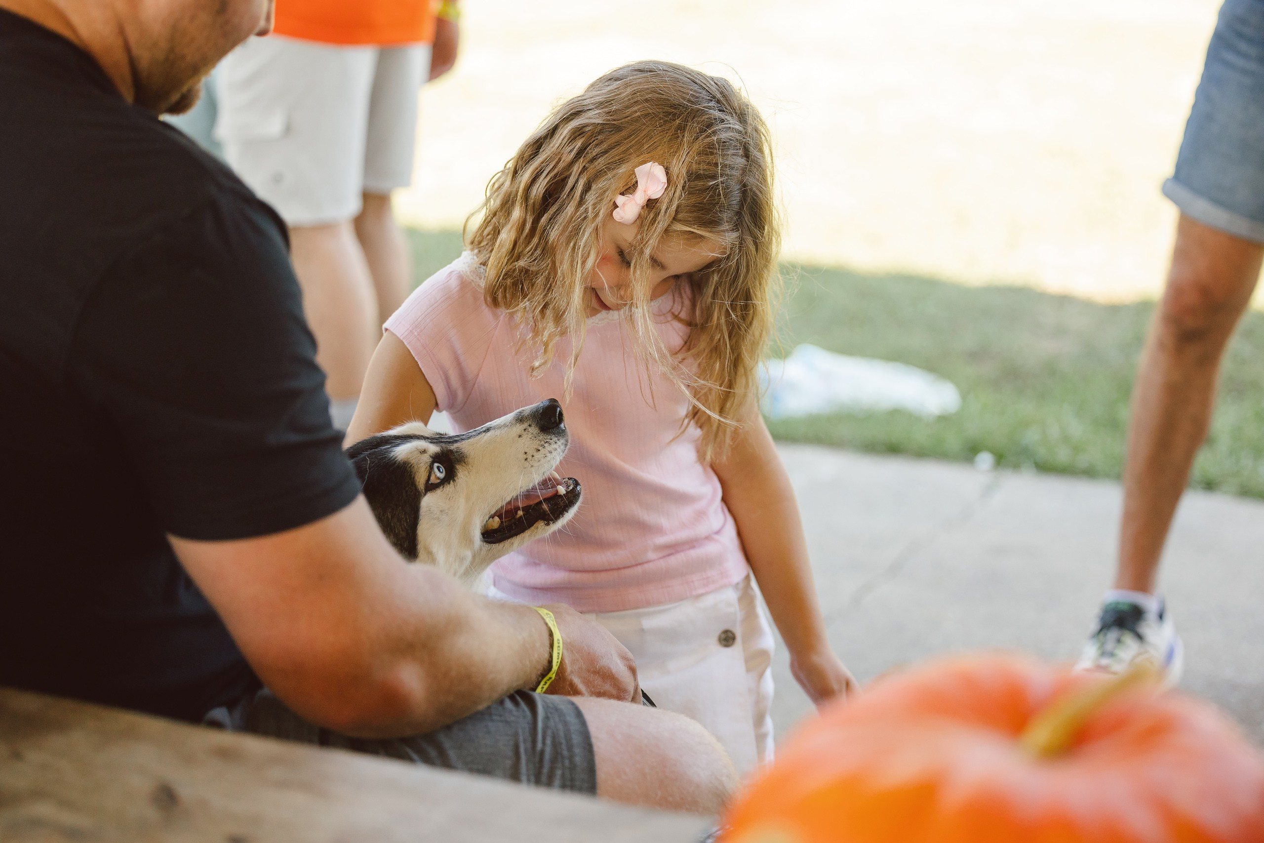 OCMC 09.12.2026. Wedding family event photographer in Chicago Nick Yushevich
