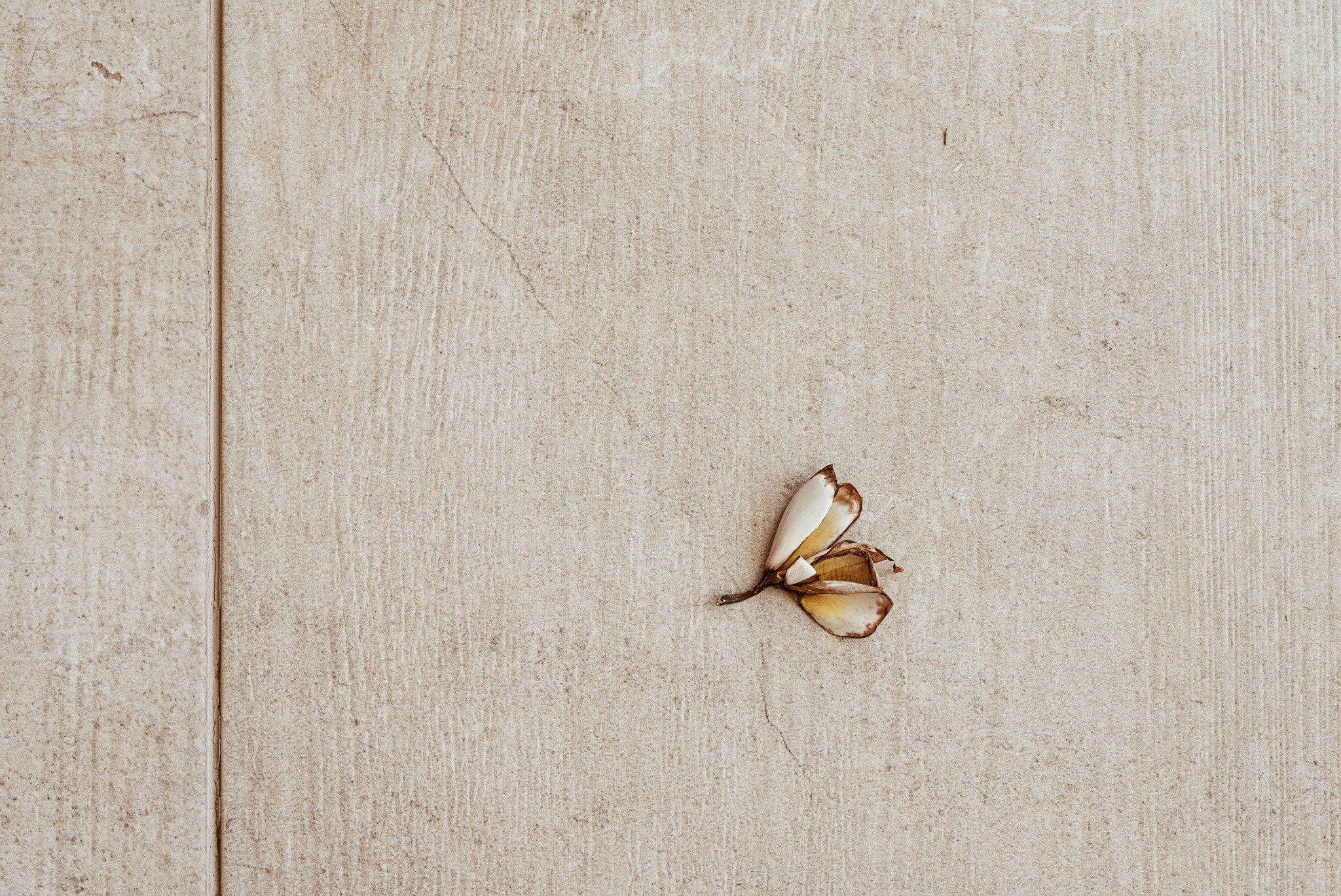 Steigenberger Hotel Alaya. Familienfotografin aus Sterzing Elena Muehlsteiger