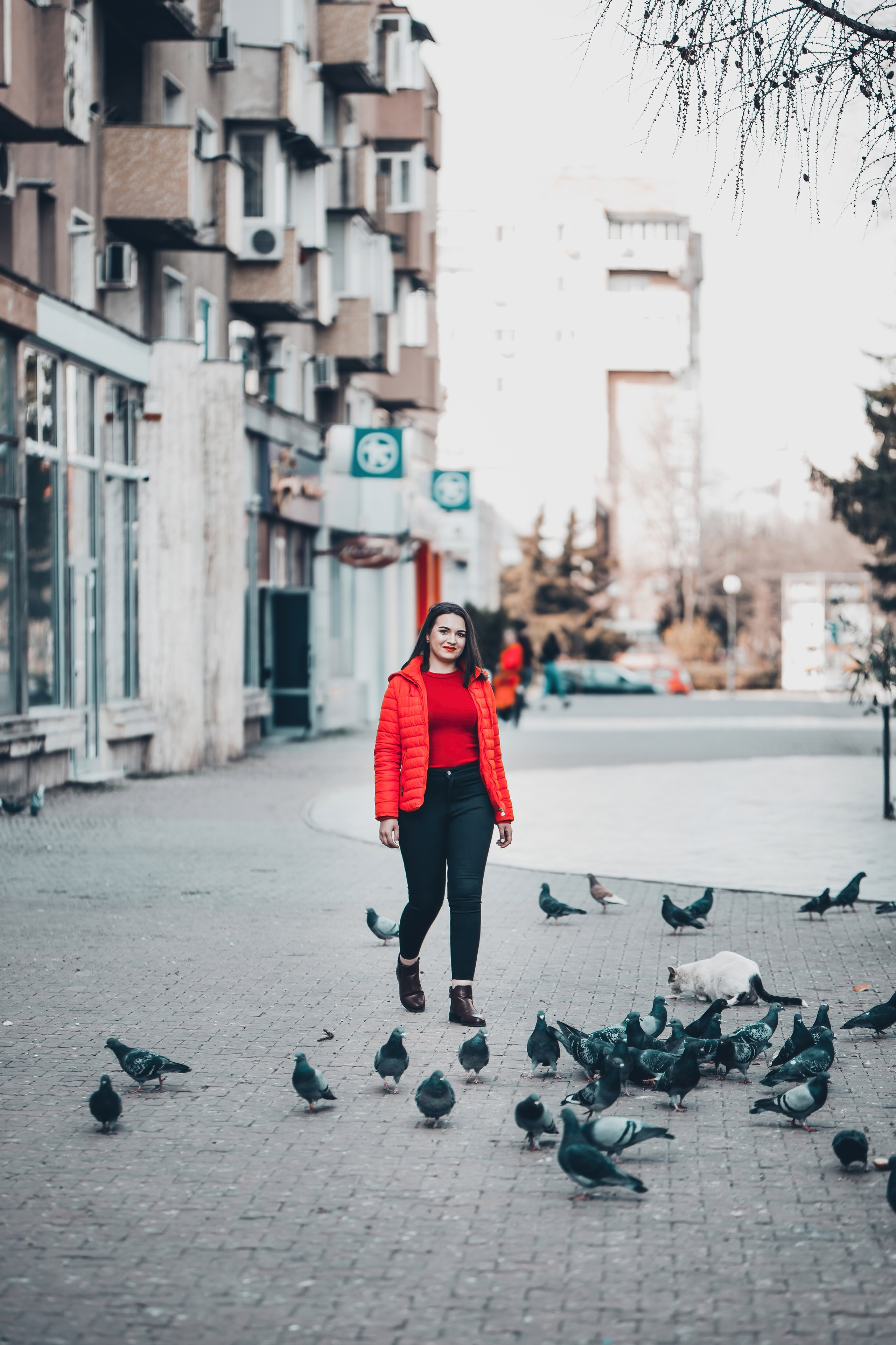 Sedinte. Lucian Dedeu — Fotograf de nuntă și eveniment