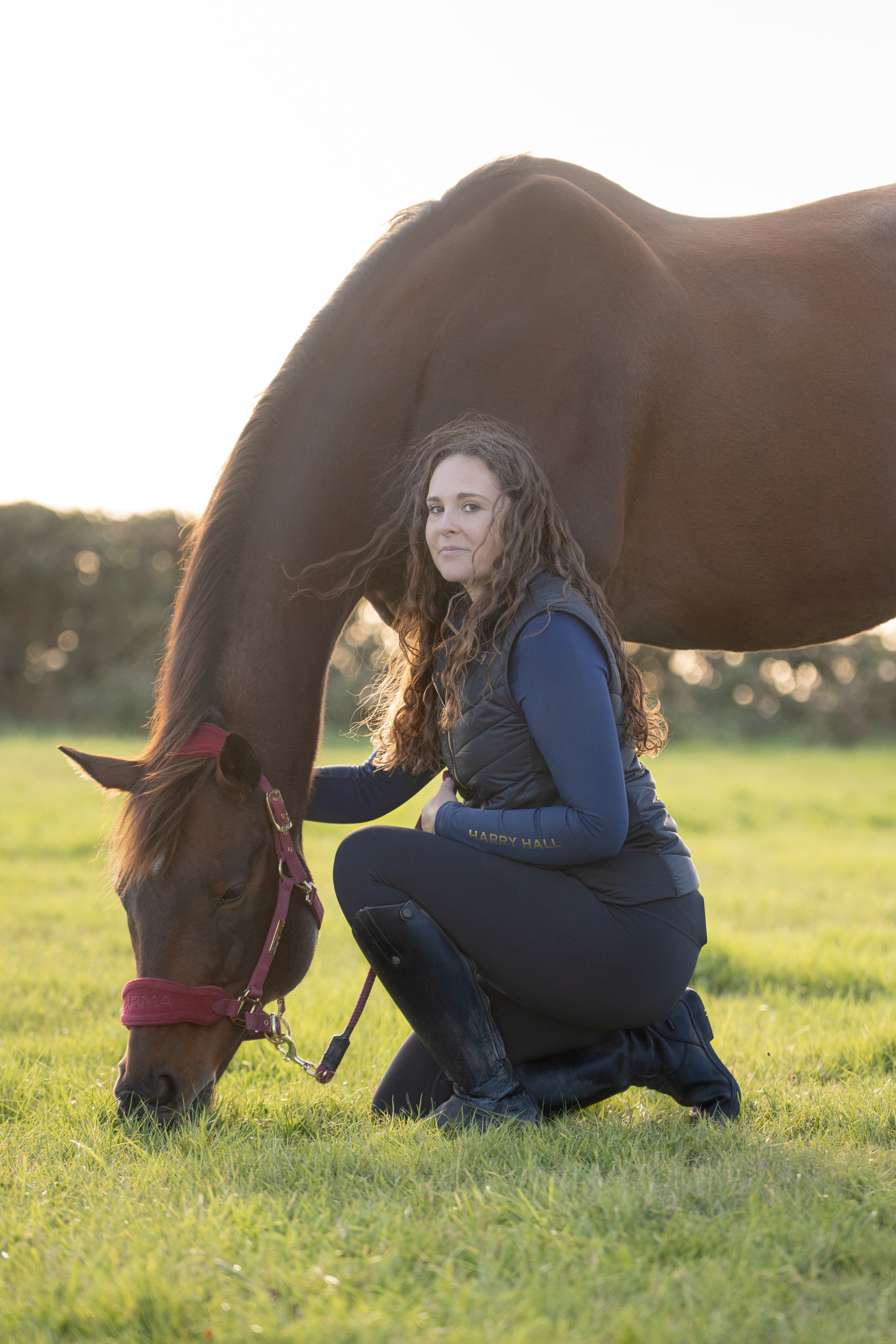 Equine Photography Portfolio | Leicestershire Horse Portrait Photographer. Leicestershire Equine Photography by El | Authentic Equine Portraits & Events