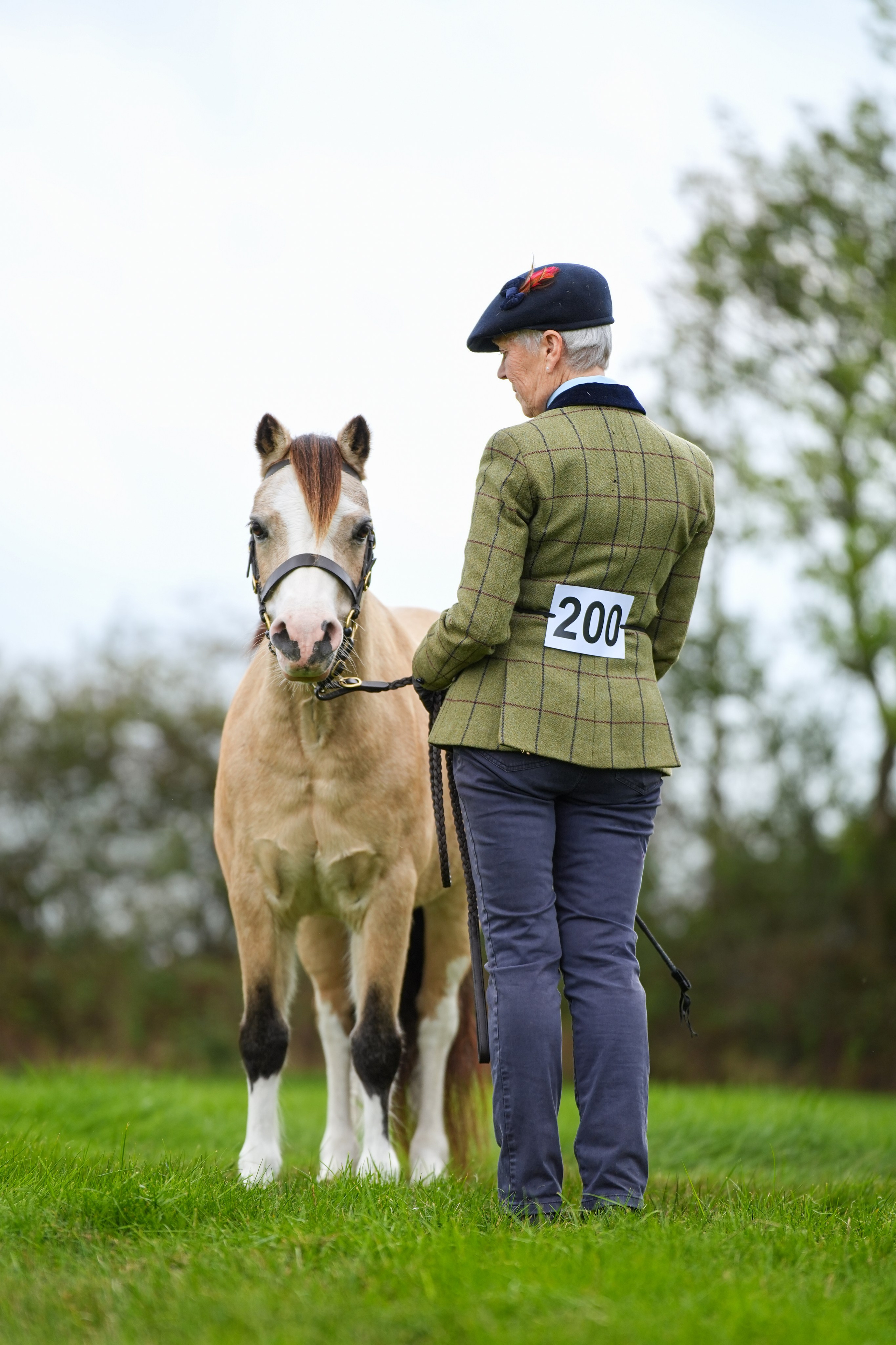 Showing. Leicestershire Equine Photography by El | Authentic Equine Portraits & Events