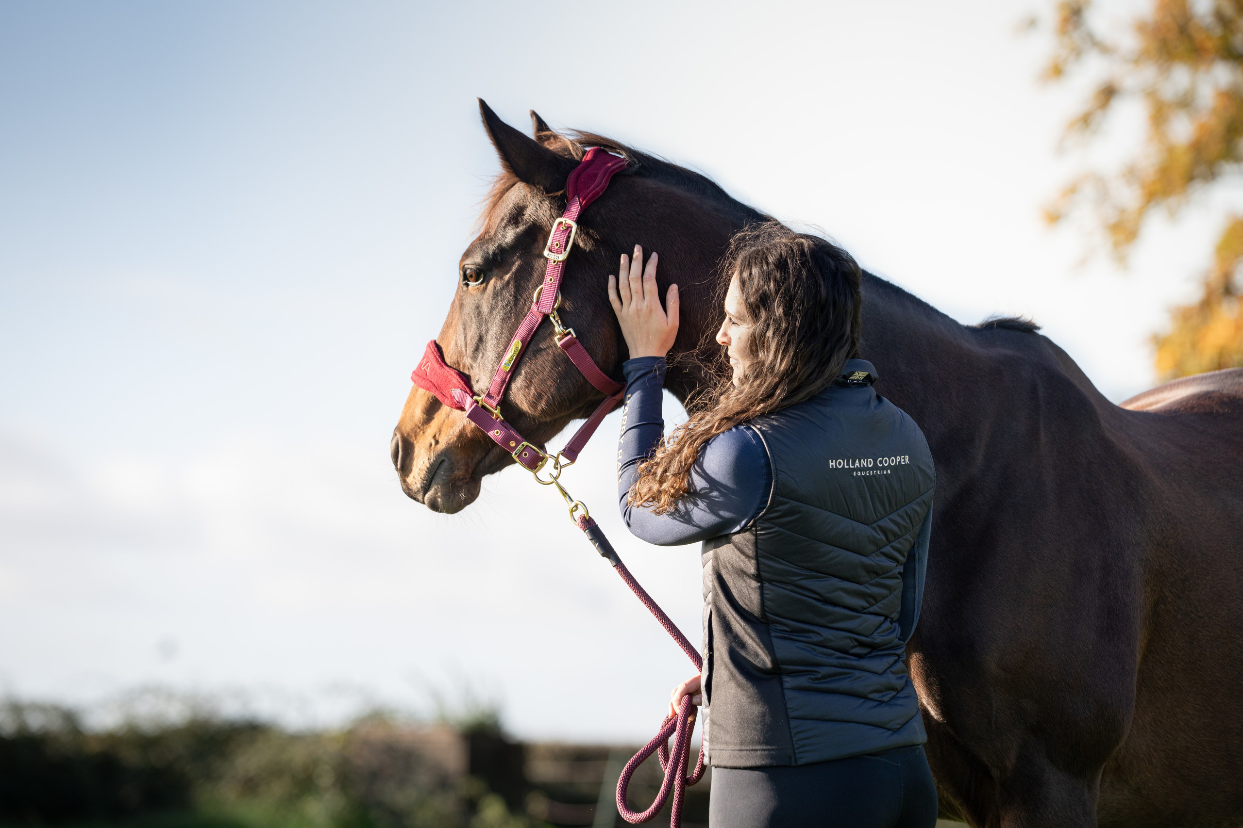 Equine Photography Portfolio | Leicestershire Horse Portrait Photographer. Leicestershire Equine Photography by El | Authentic Equine Portraits & Events
