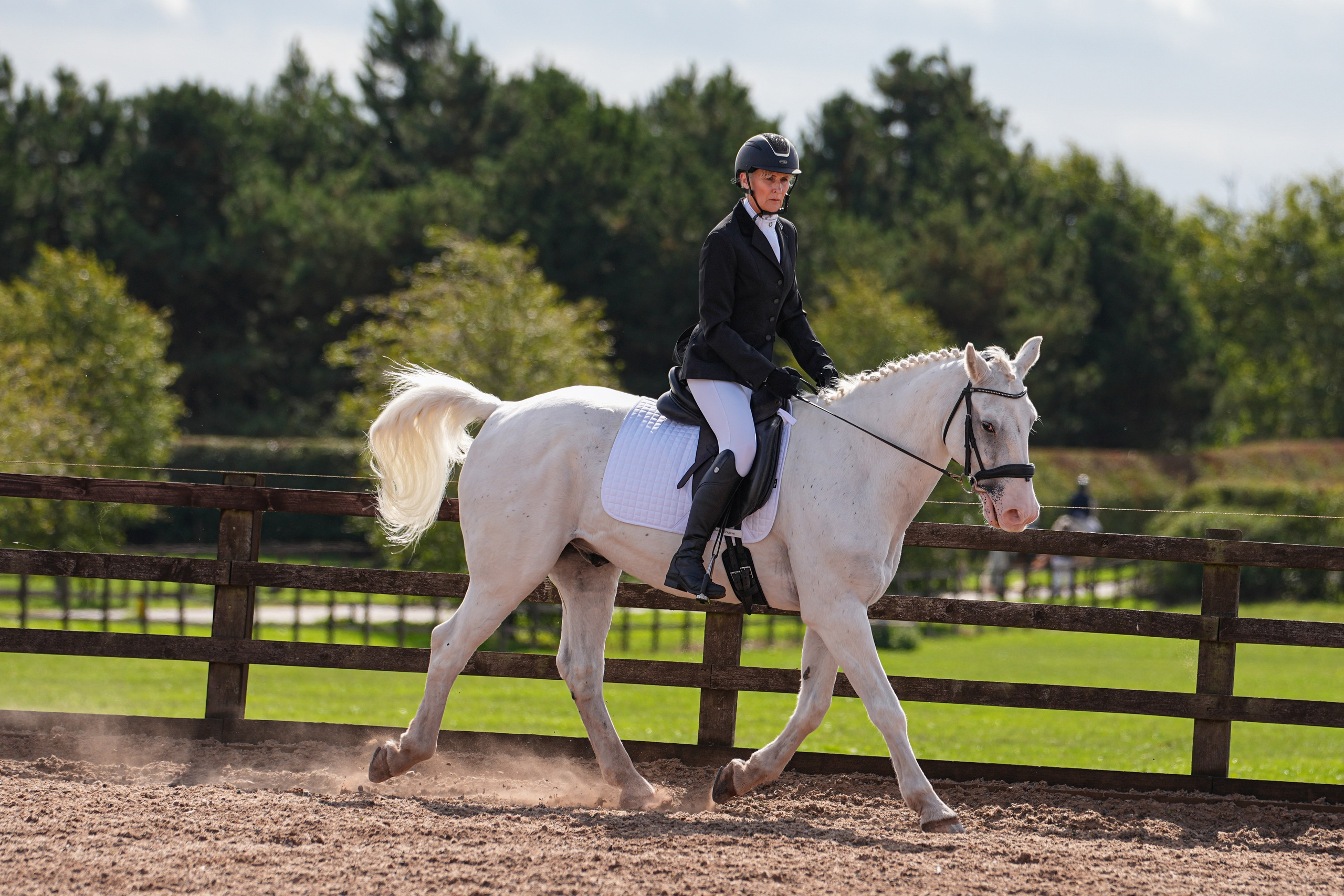 Dressage. Leicestershire Equine Photography by El | Authentic Equine Portraits & Events