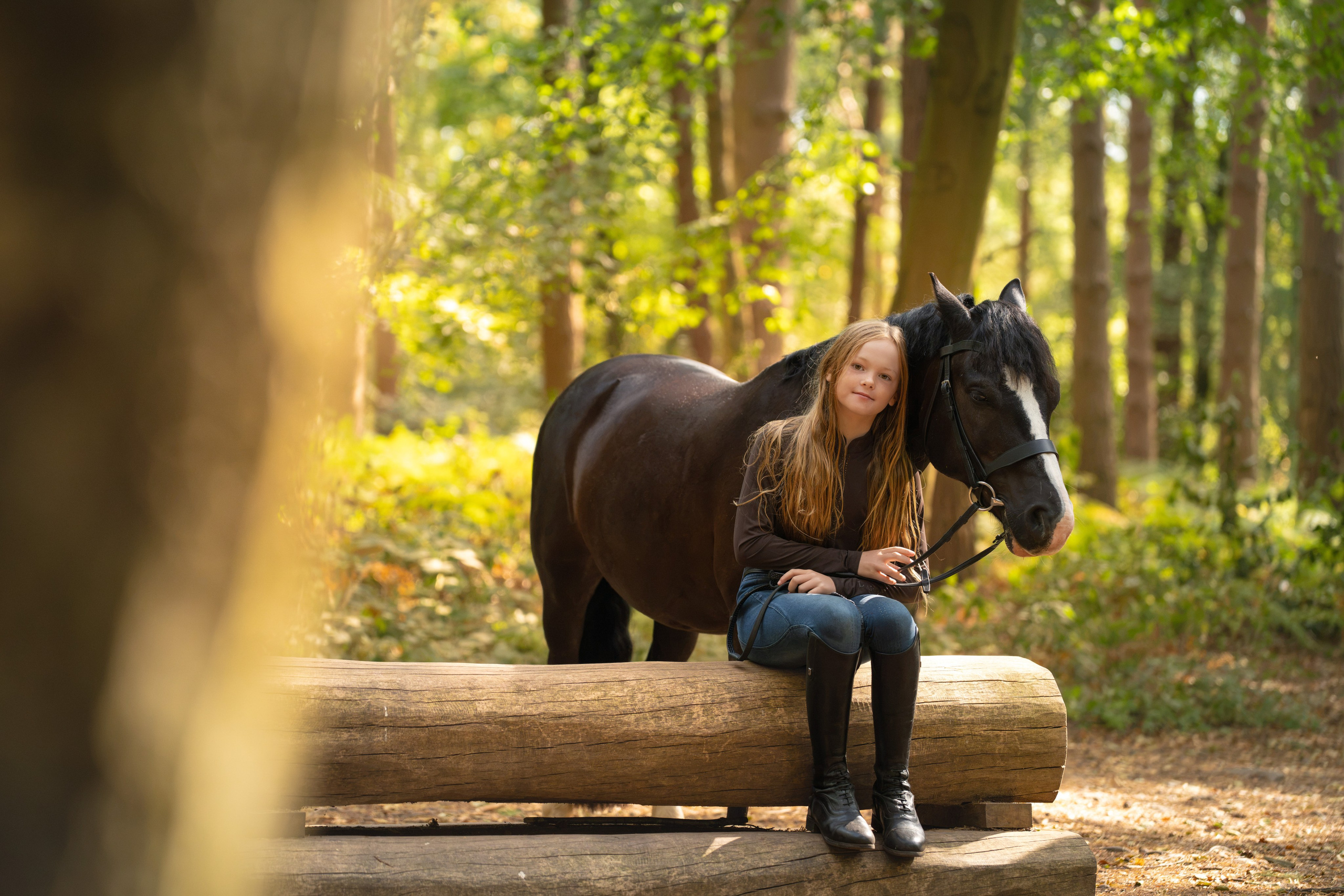 Equine Photography Portfolio | Leicestershire Horse Portrait Photographer. Leicestershire Equine Photography by El | Authentic Equine Portraits & Events