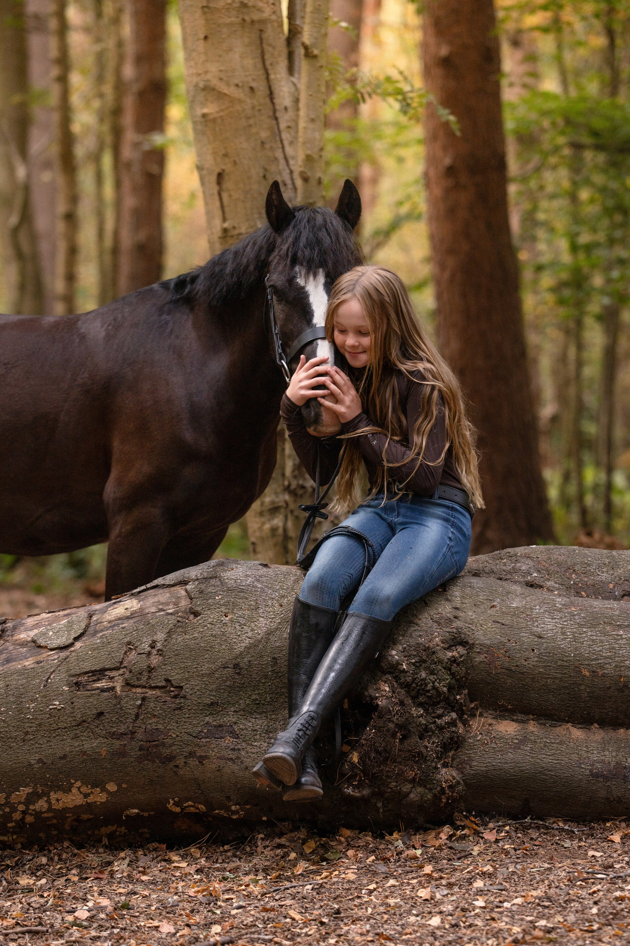 Equine Photography Portfolio | Leicestershire Horse Portrait Photographer. Leicestershire Equine Photography by El | Authentic Equine Portraits & Events