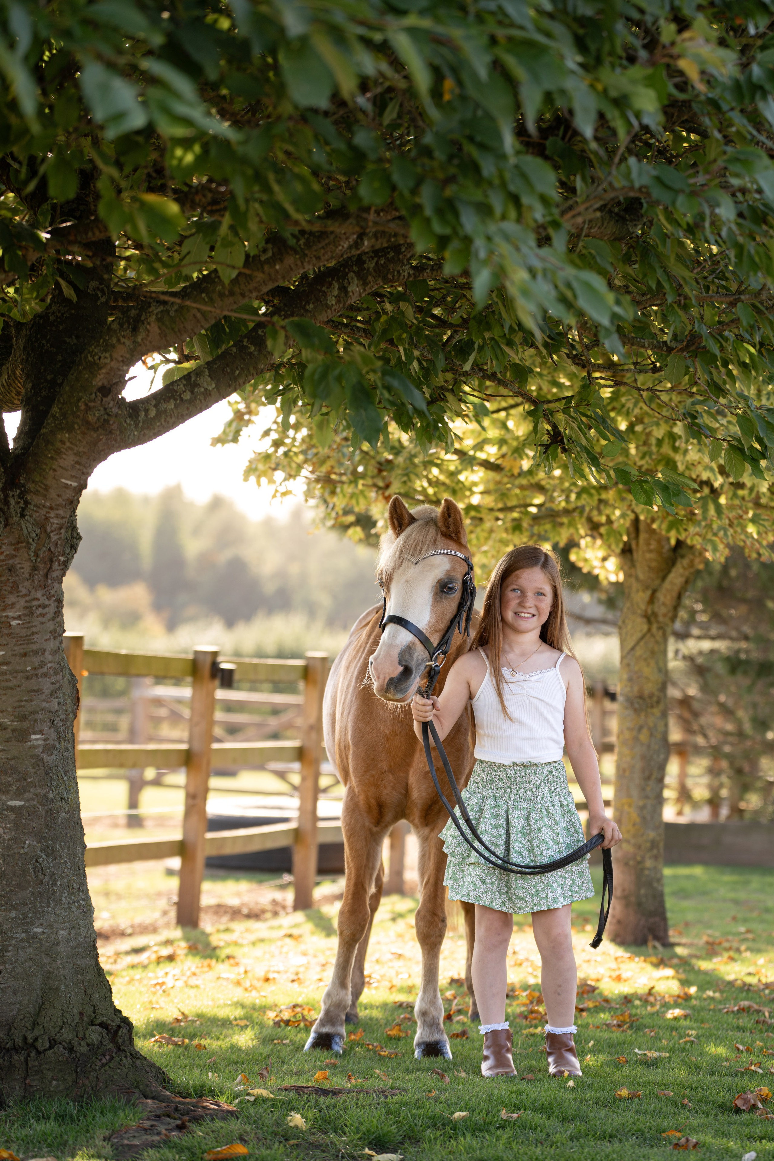 Equine Photography Portfolio | Leicestershire Horse Portrait Photographer. Leicestershire Equine Photography by El | Authentic Equine Portraits & Events