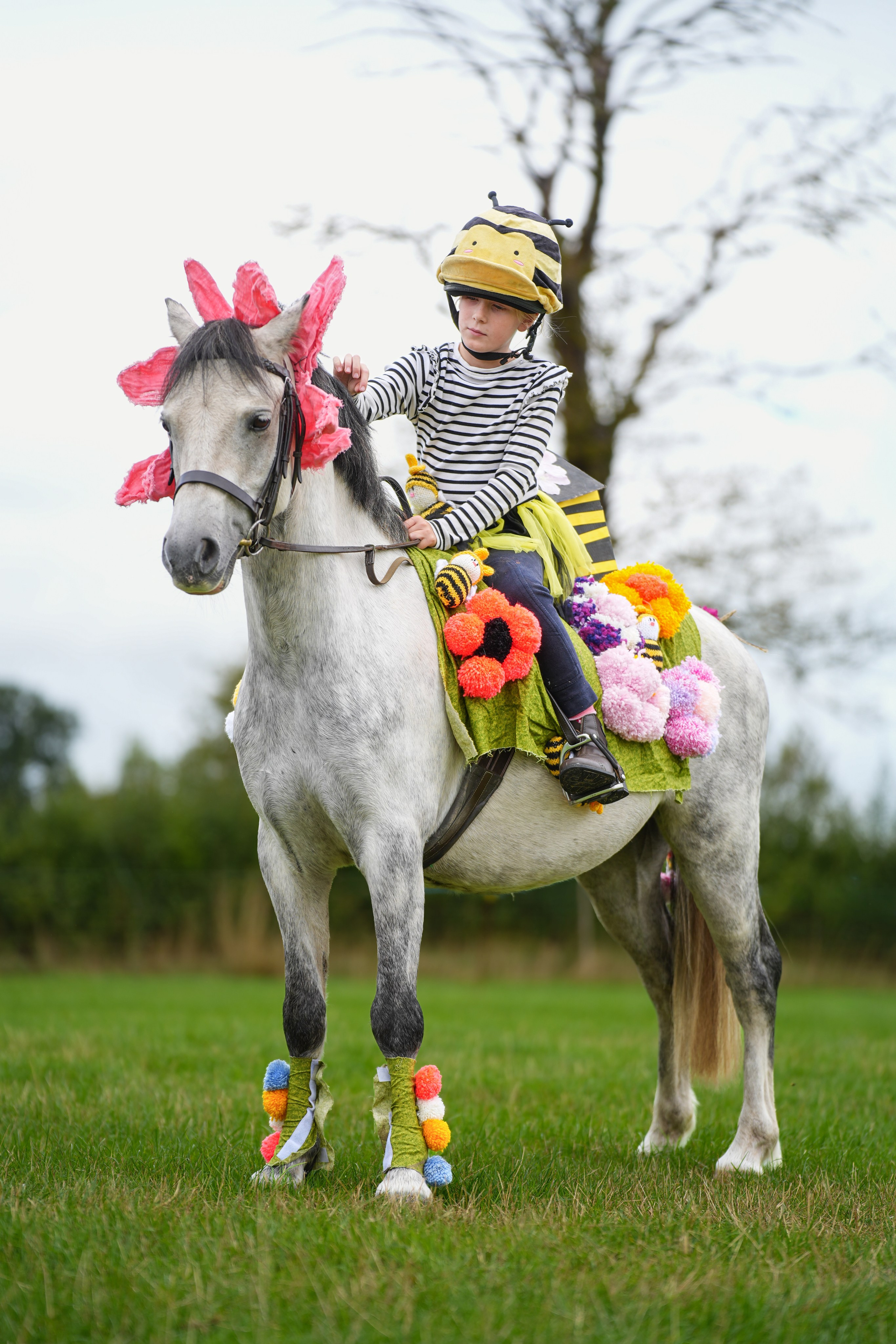 Showing. Leicestershire Equine Photography by El | Authentic Equine Portraits & Events
