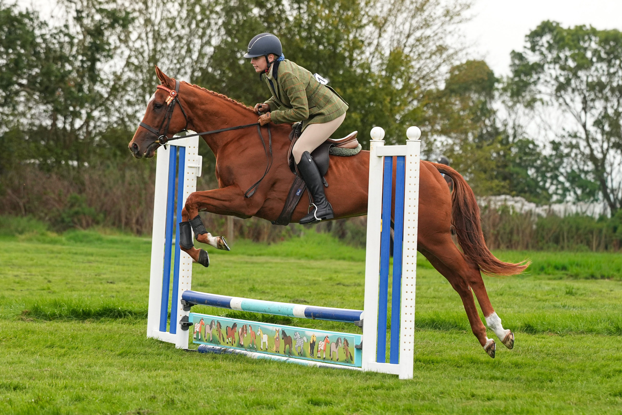 Show Jumping Photography in Leicestershire | Equine Action Shots by El. Leicestershire Equine Photography by El | Authentic Equine Portraits & Events