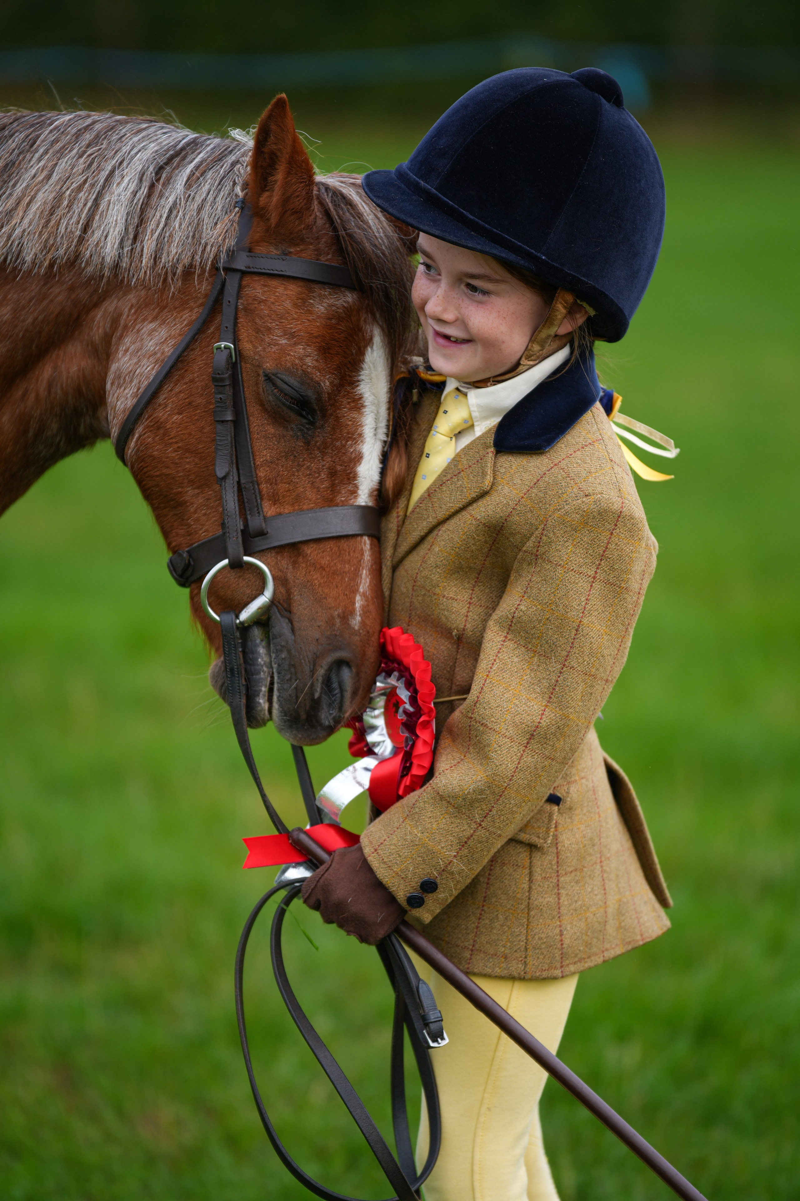 Showing. Leicestershire Equine Photography by El | Authentic Equine Portraits & Events