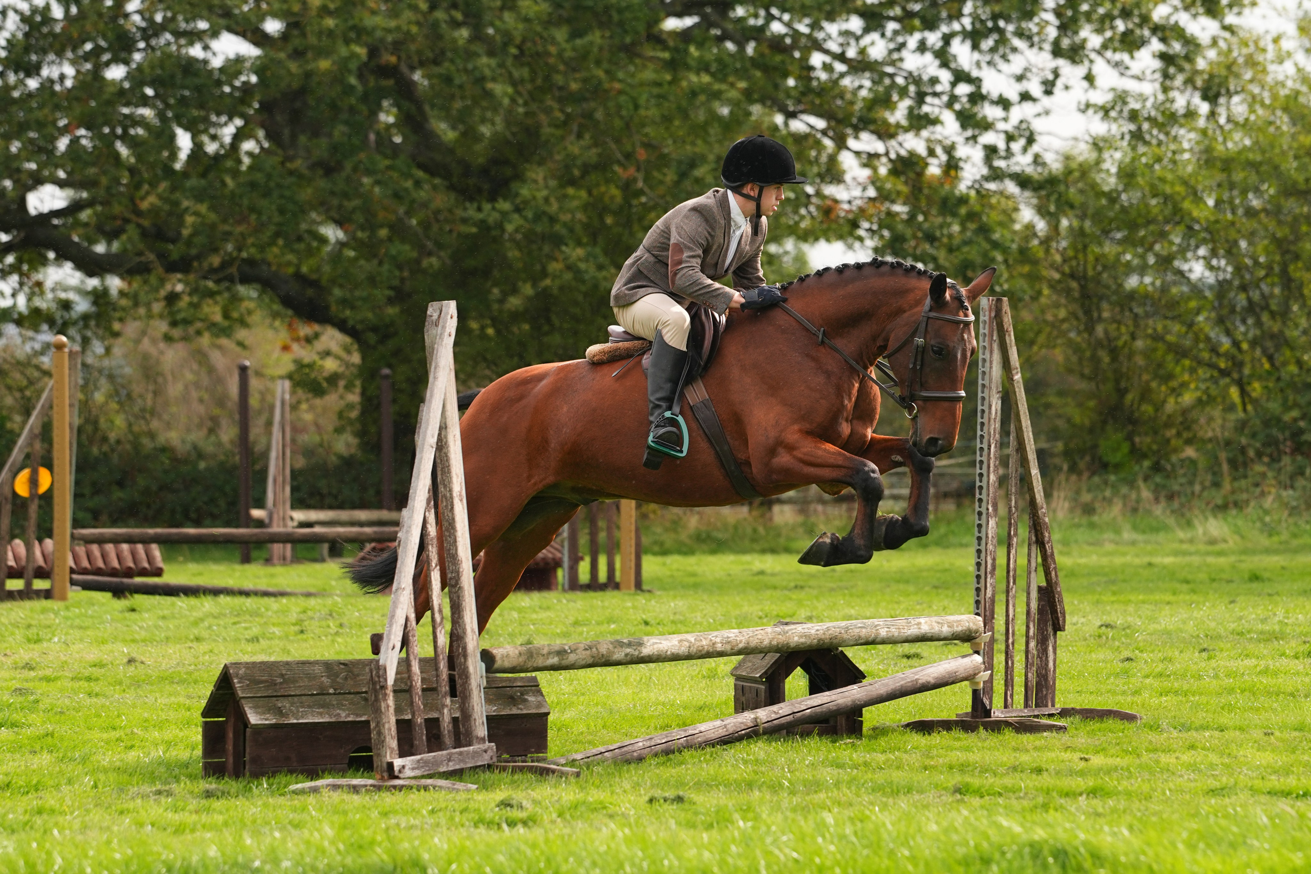 Show Jumping Photography in Leicestershire | Equine Action Shots by El. Leicestershire Equine Photography by El | Authentic Equine Portraits & Events