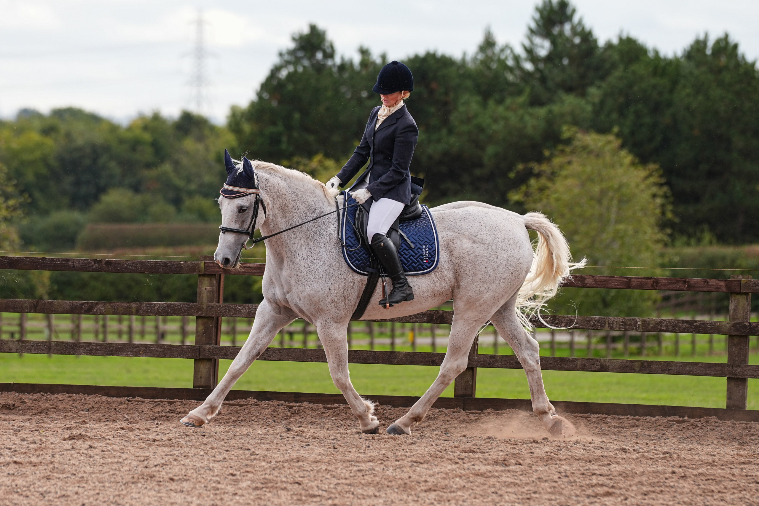 Dressage. Leicestershire Equine Photography by El | Authentic Equine Portraits & Events