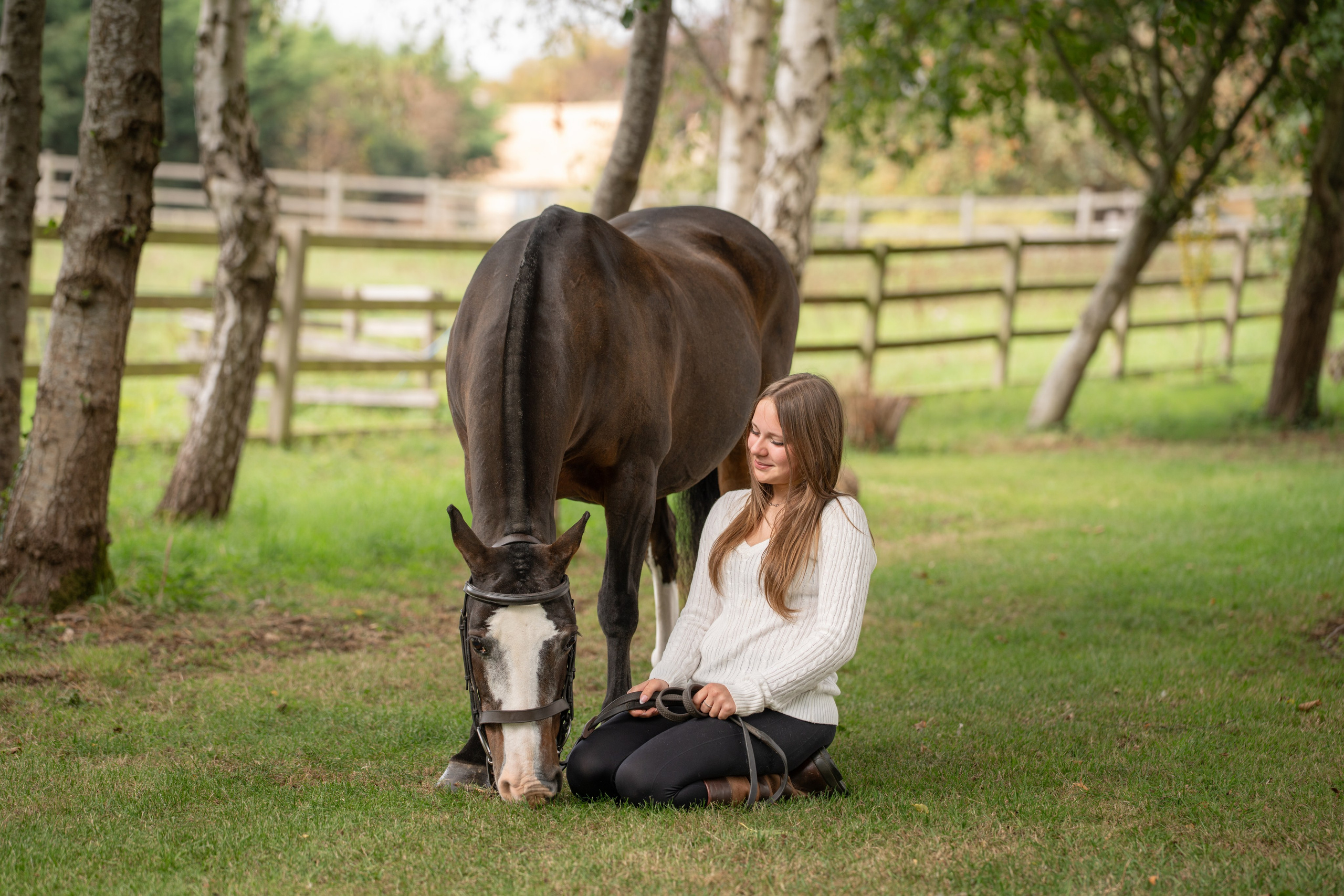 Equine Photography Portfolio | Leicestershire Horse Portrait Photographer. Leicestershire Equine Photography by El | Authentic Equine Portraits & Events