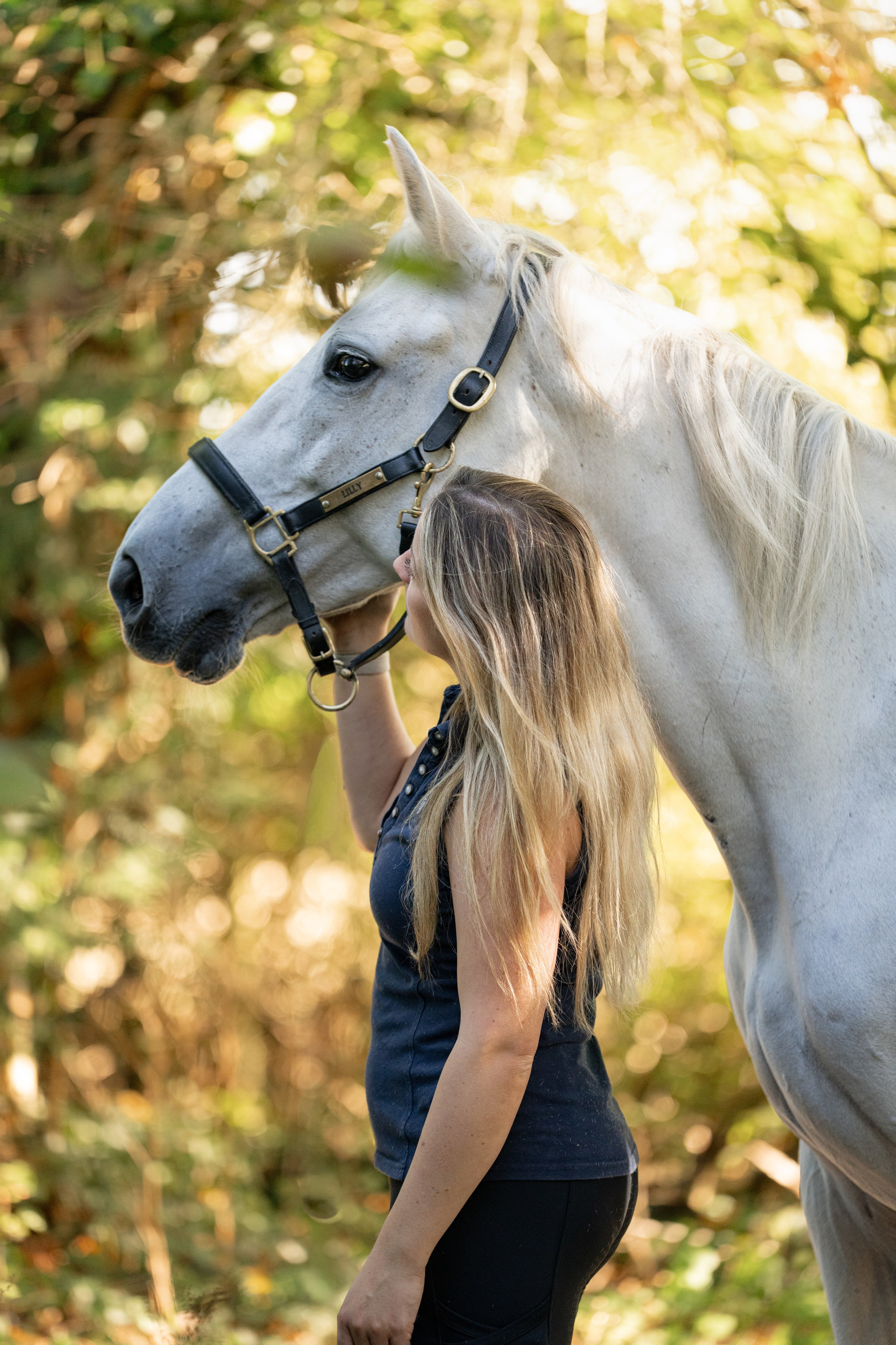 Equine Photography Portfolio | Leicestershire Horse Portrait Photographer. Leicestershire Equine Photography by El | Authentic Equine Portraits & Events