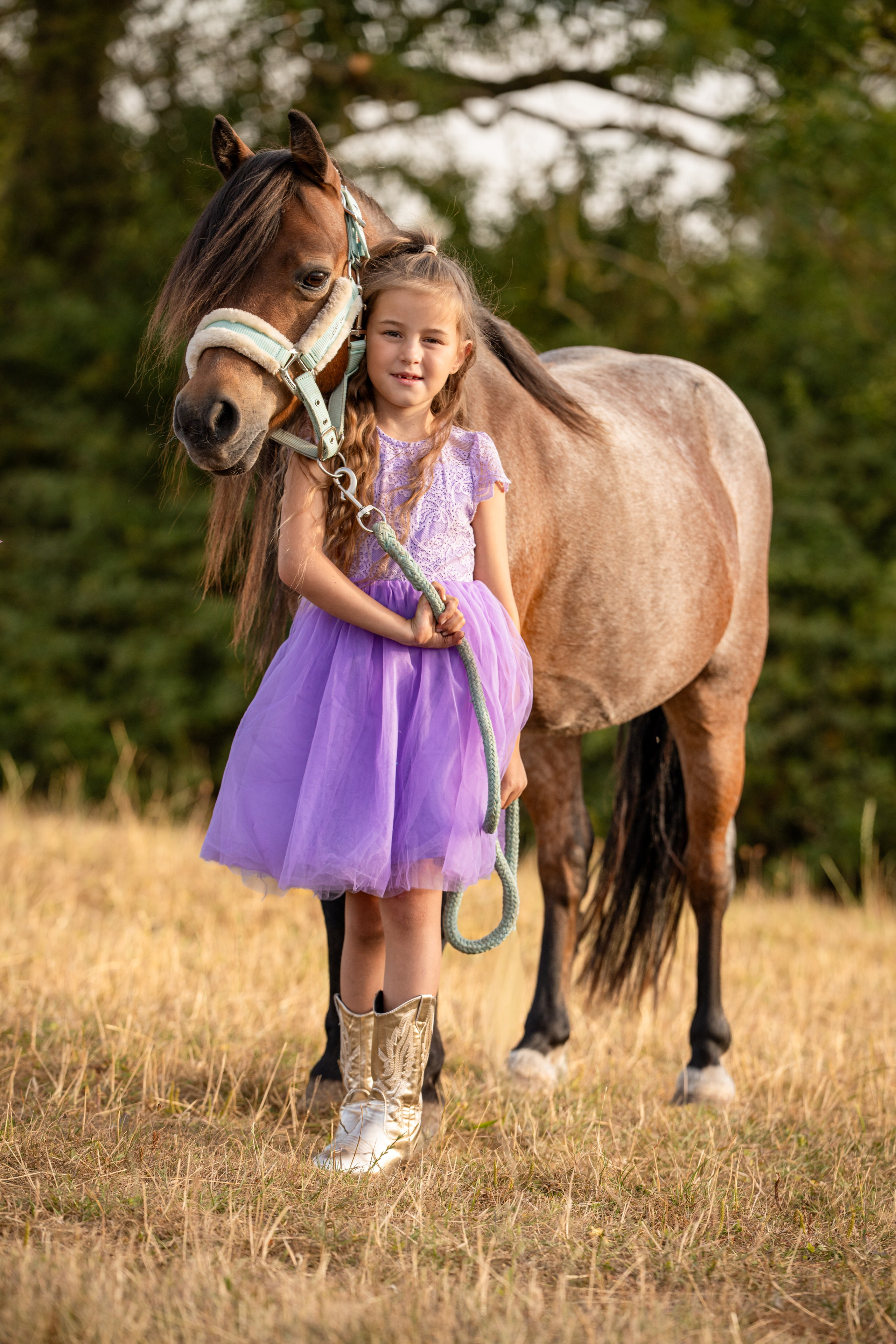 Equine Photography Portfolio | Leicestershire Horse Portrait Photographer. Leicestershire Equine Photography by El | Authentic Equine Portraits & Events