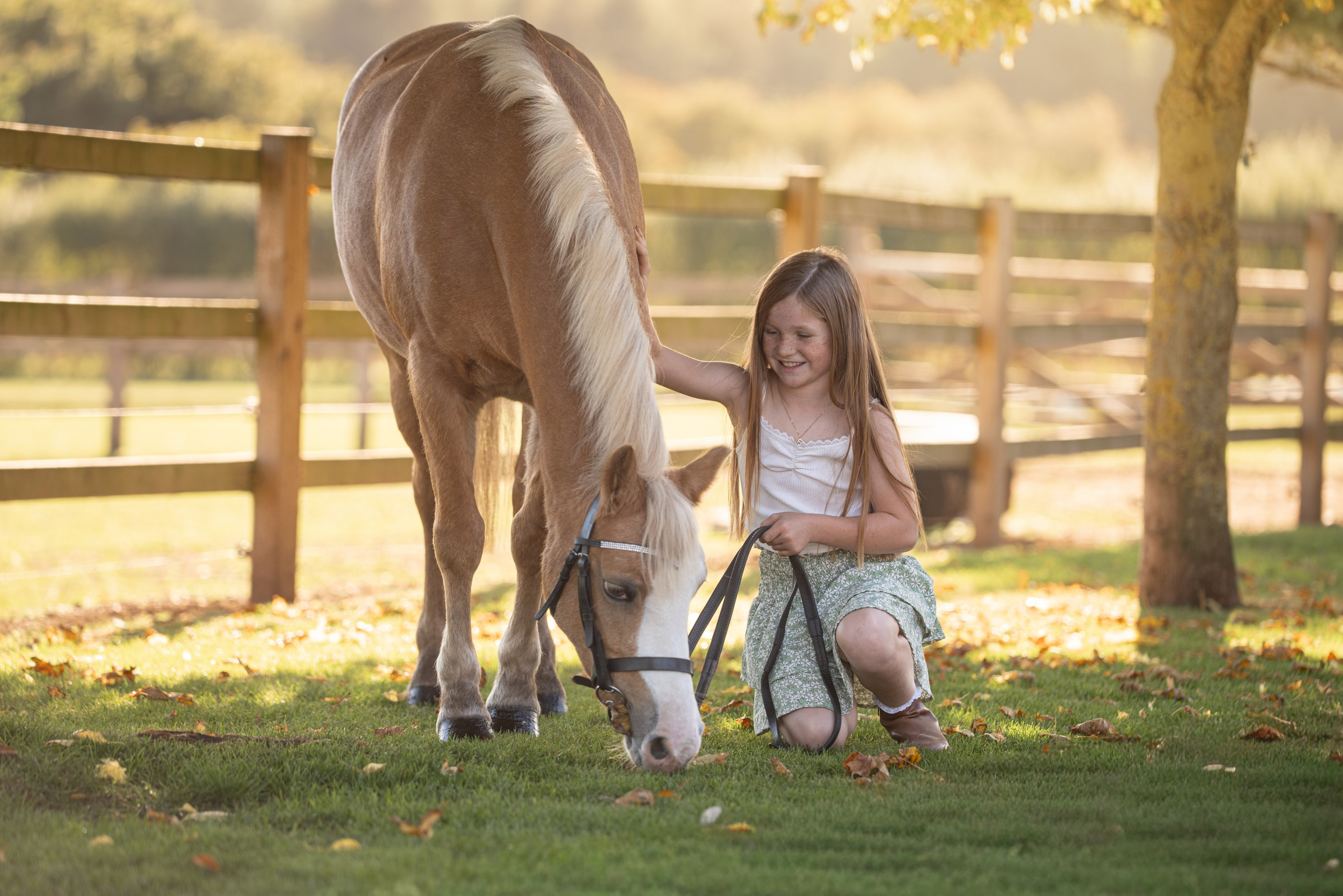 Equine Photography Portfolio | Leicestershire Horse Portrait Photographer. Leicestershire Equine Photography by El | Authentic Equine Portraits & Events