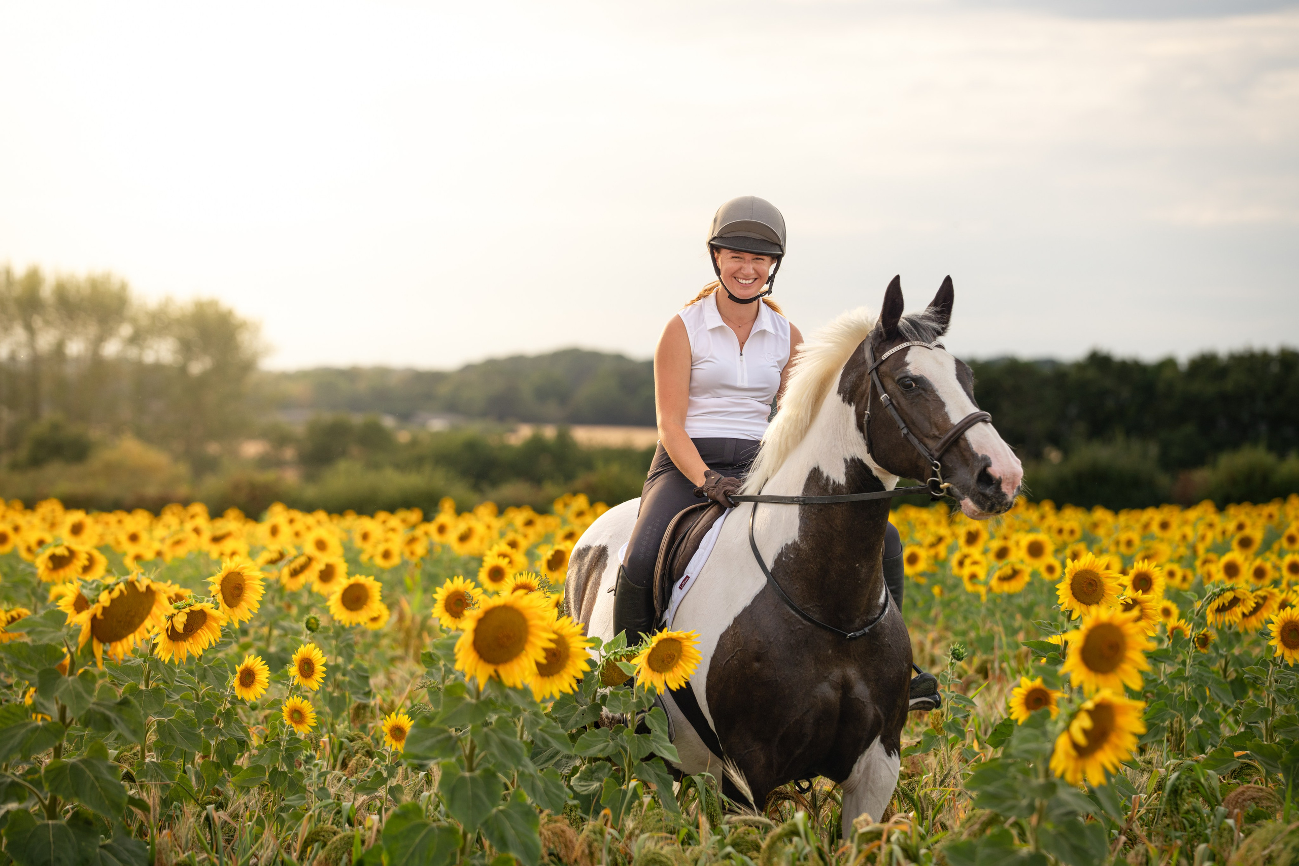 Equine Photography Portfolio | Leicestershire Horse Portrait Photographer. Leicestershire Equine Photography by El | Authentic Equine Portraits & Events