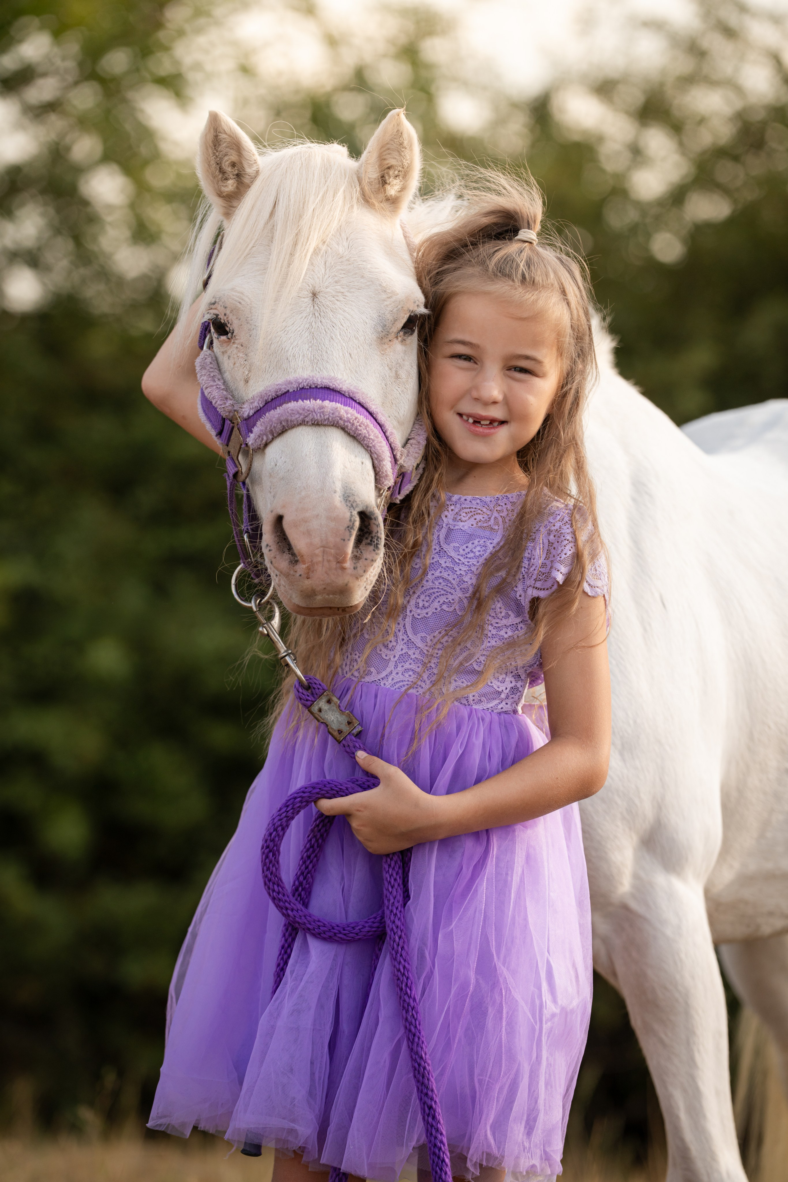 Equine Photography Portfolio | Leicestershire Horse Portrait Photographer. Leicestershire Equine Photography by El | Authentic Equine Portraits & Events