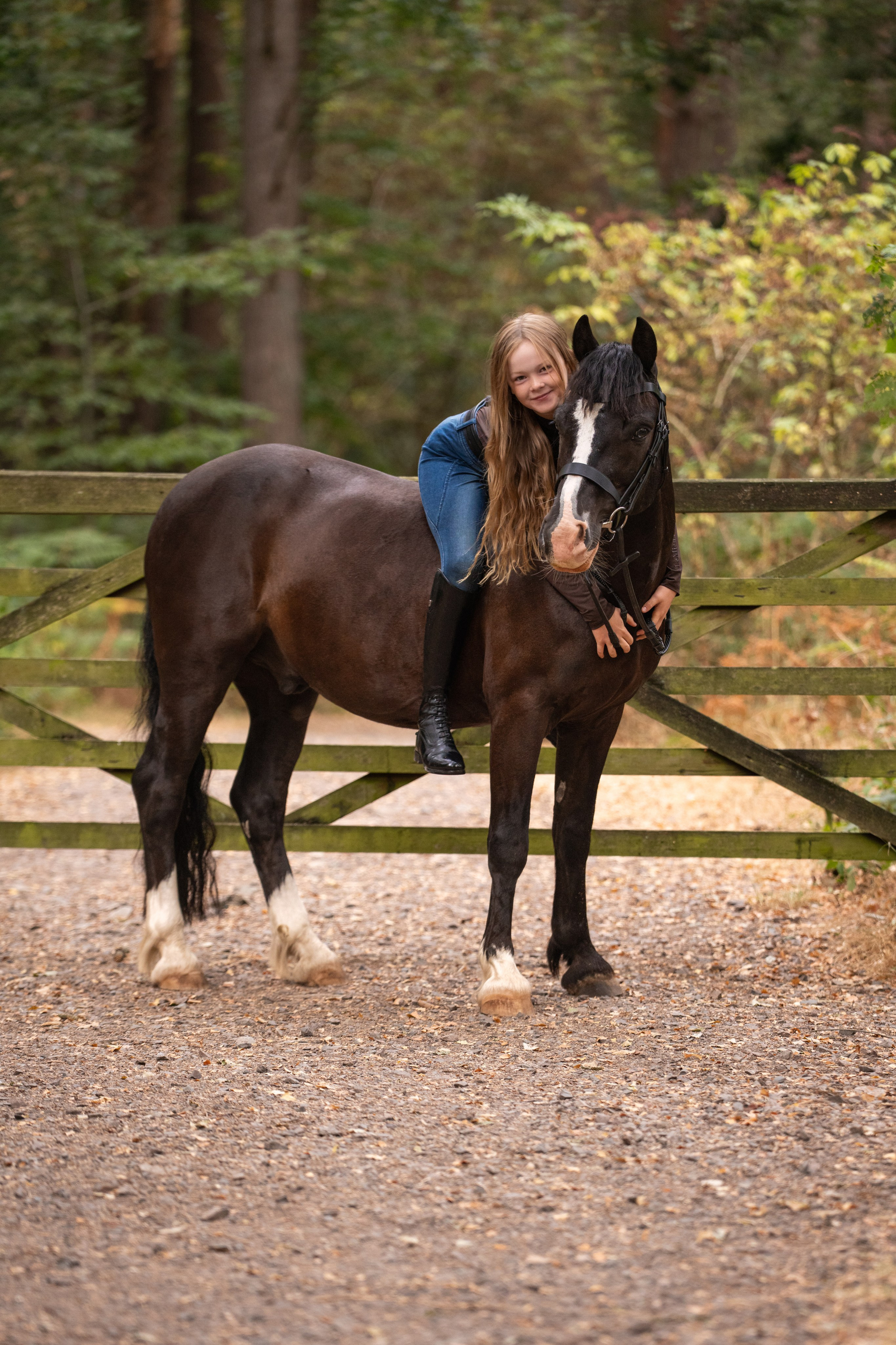 Equine Photography Portfolio | Leicestershire Horse Portrait Photographer. Leicestershire Equine Photography by El | Authentic Equine Portraits & Events
