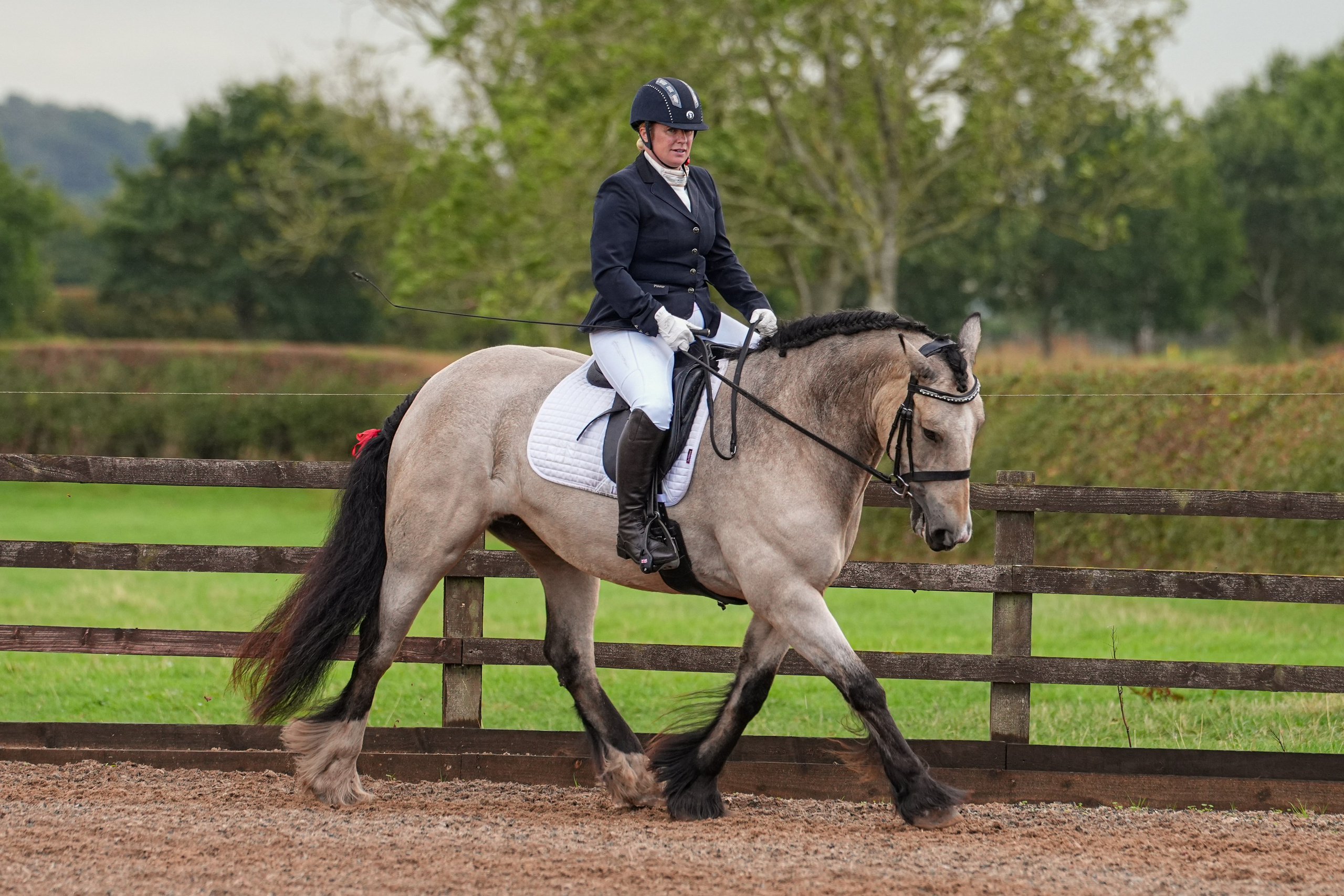 Dressage. Leicestershire Equine Photography by El | Authentic Equine Portraits & Events