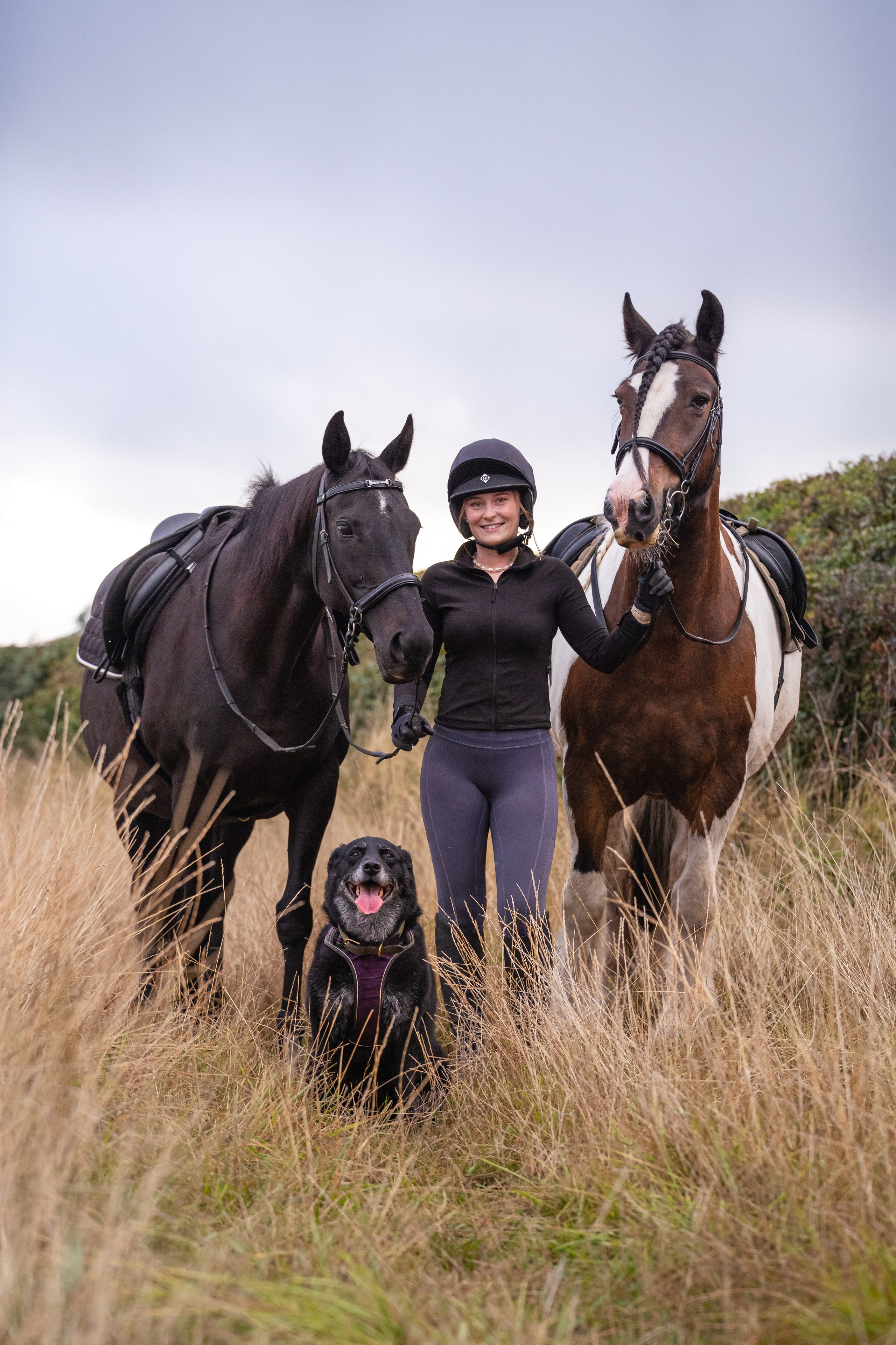 Equine Photography Portfolio | Leicestershire Horse Portrait Photographer. Leicestershire Equine Photography by El | Authentic Equine Portraits & Events