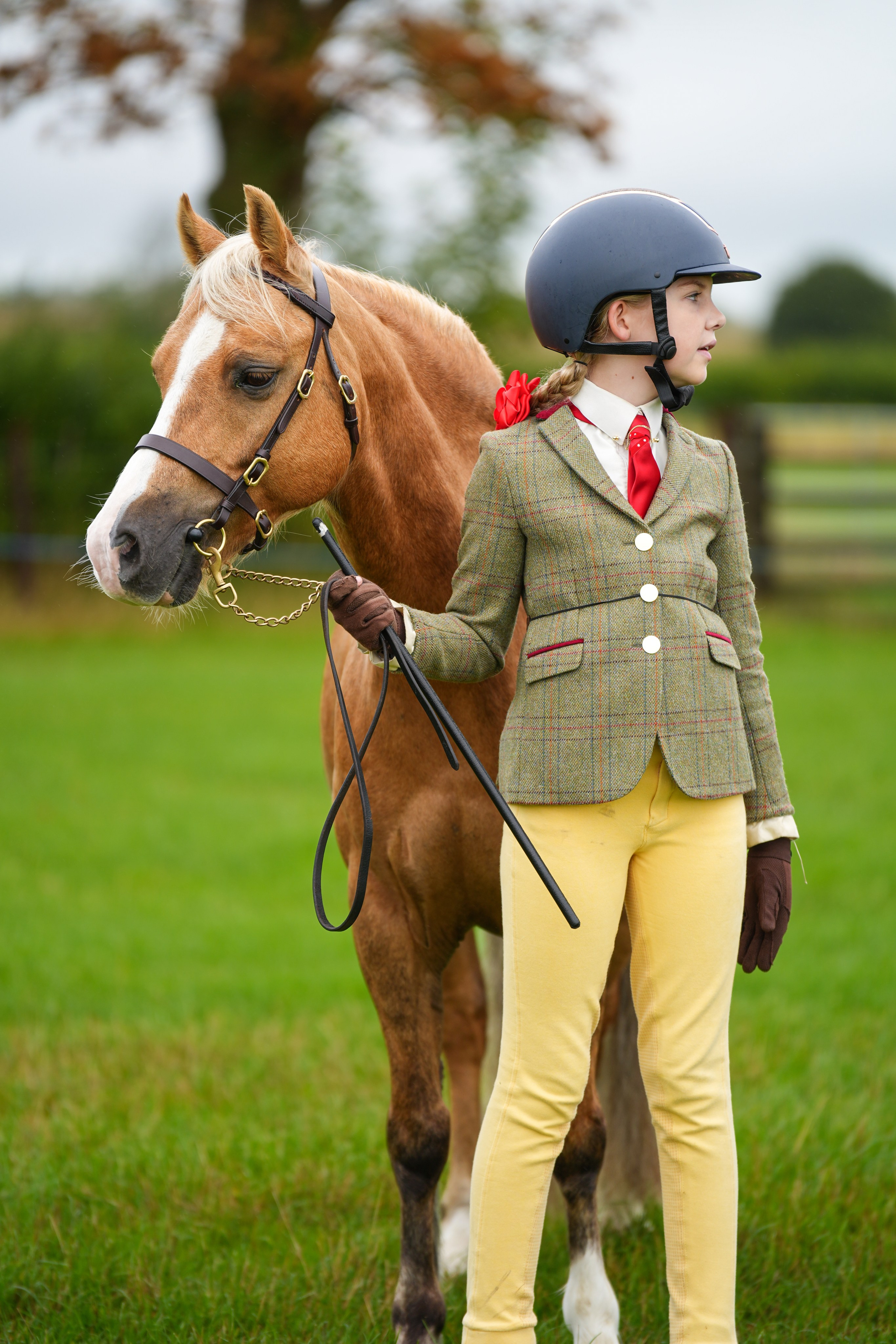Showing. Leicestershire Equine Photography by El | Authentic Equine Portraits & Events